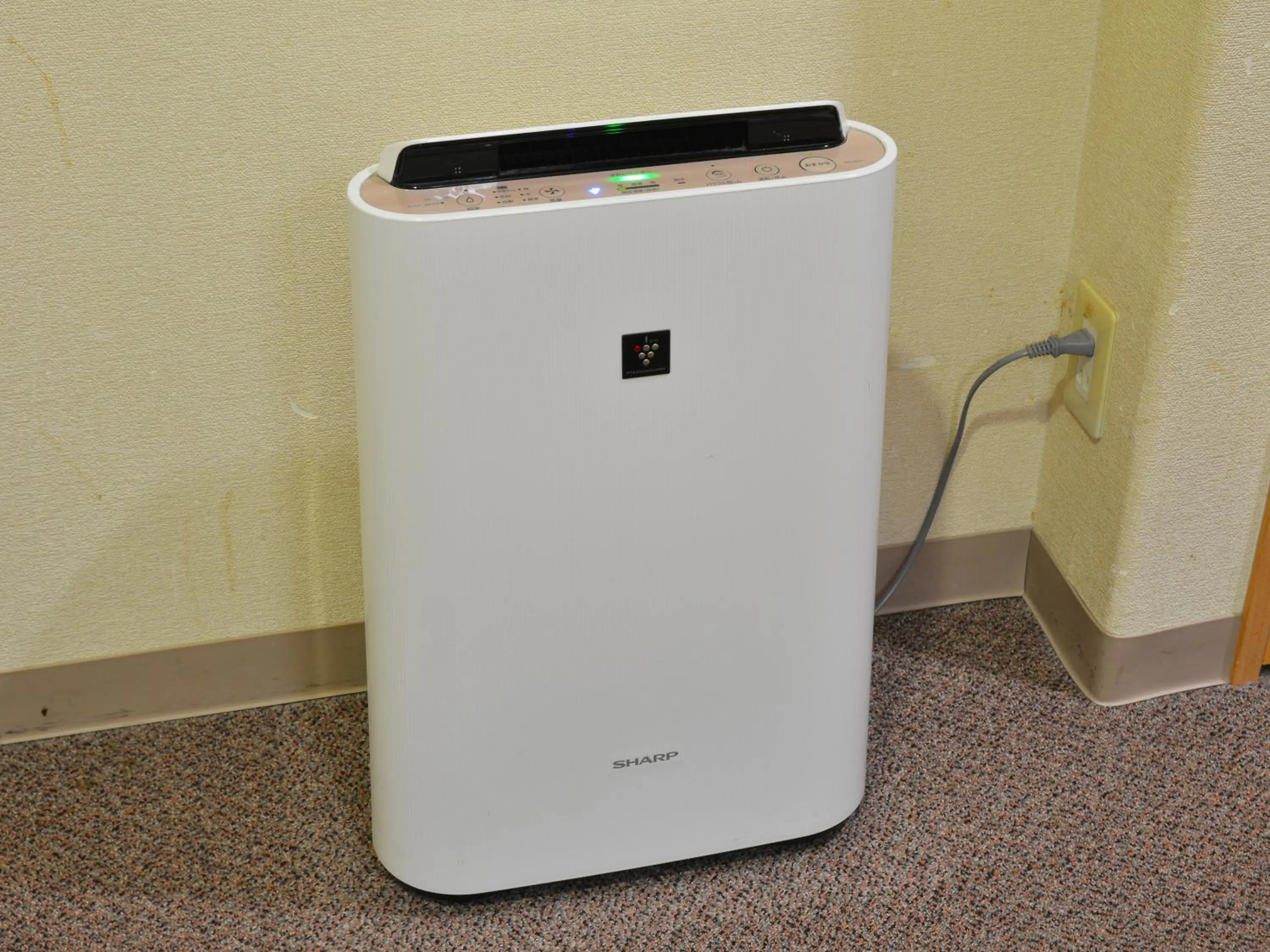 Photo of the whole room in HigashimaeOnsen Shinwanoyu Hotel Akitaya