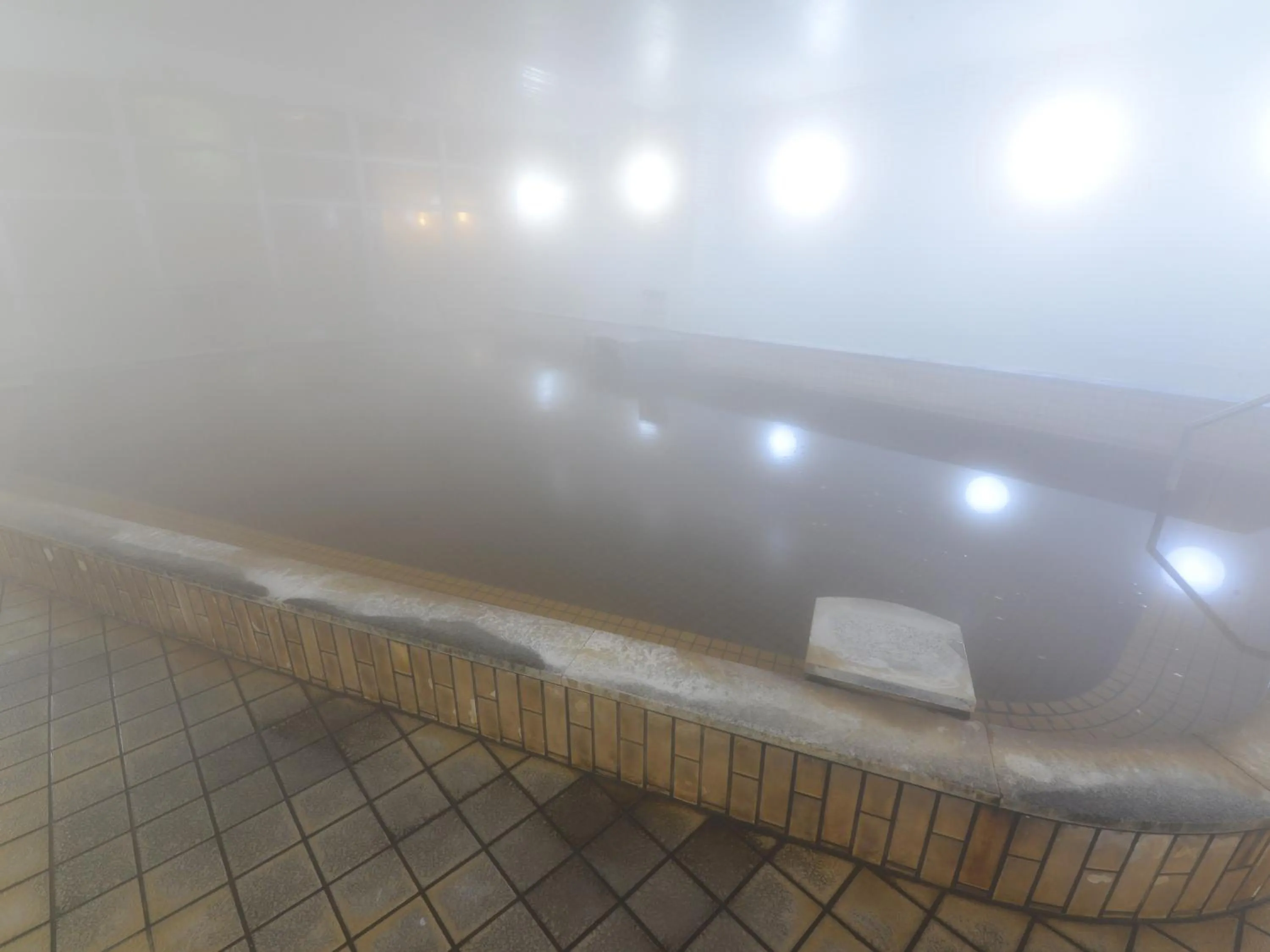 Hot Spring Bath in HigashimaeOnsen Shinwanoyu Hotel Akitaya