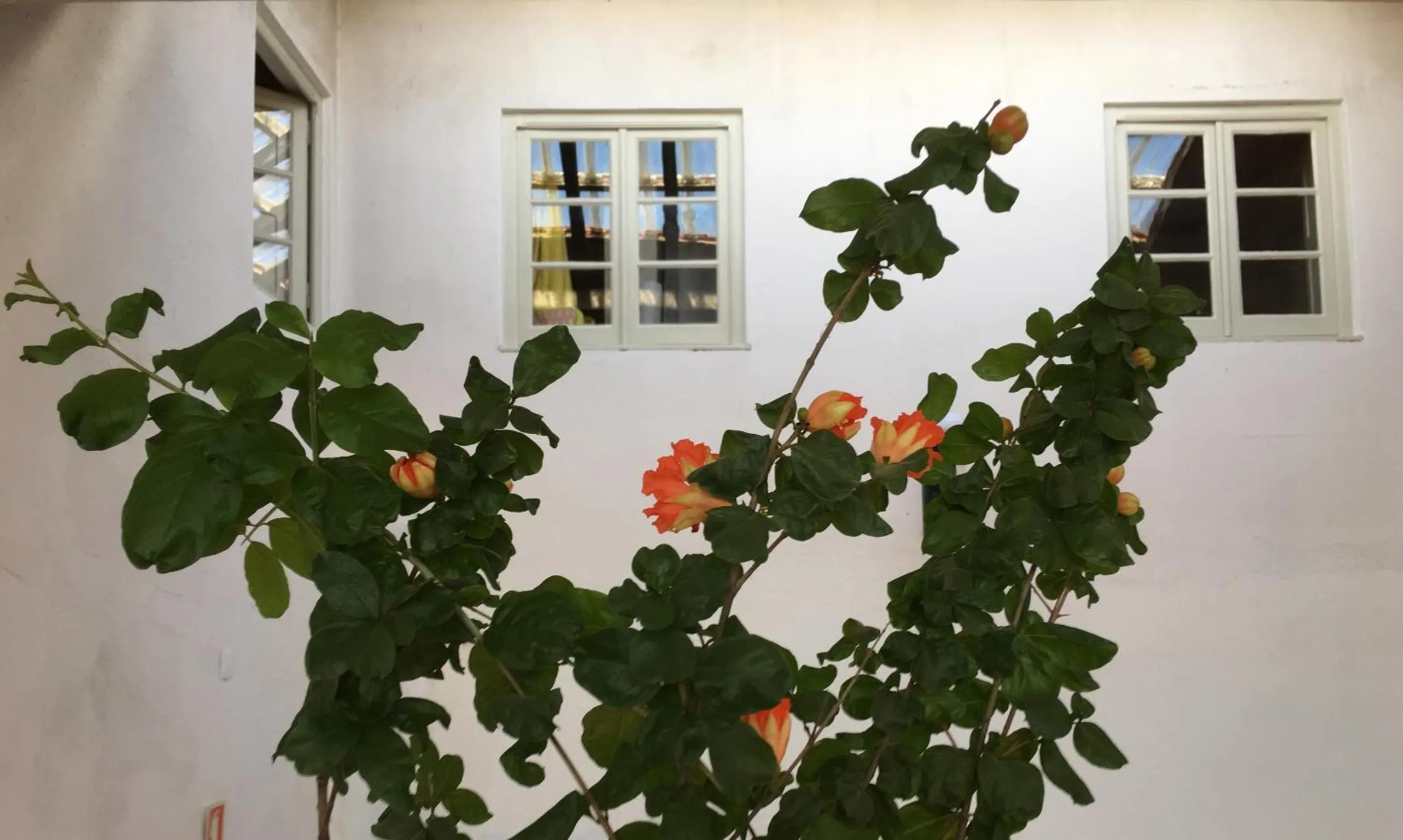 Residencial Avenida Hostel