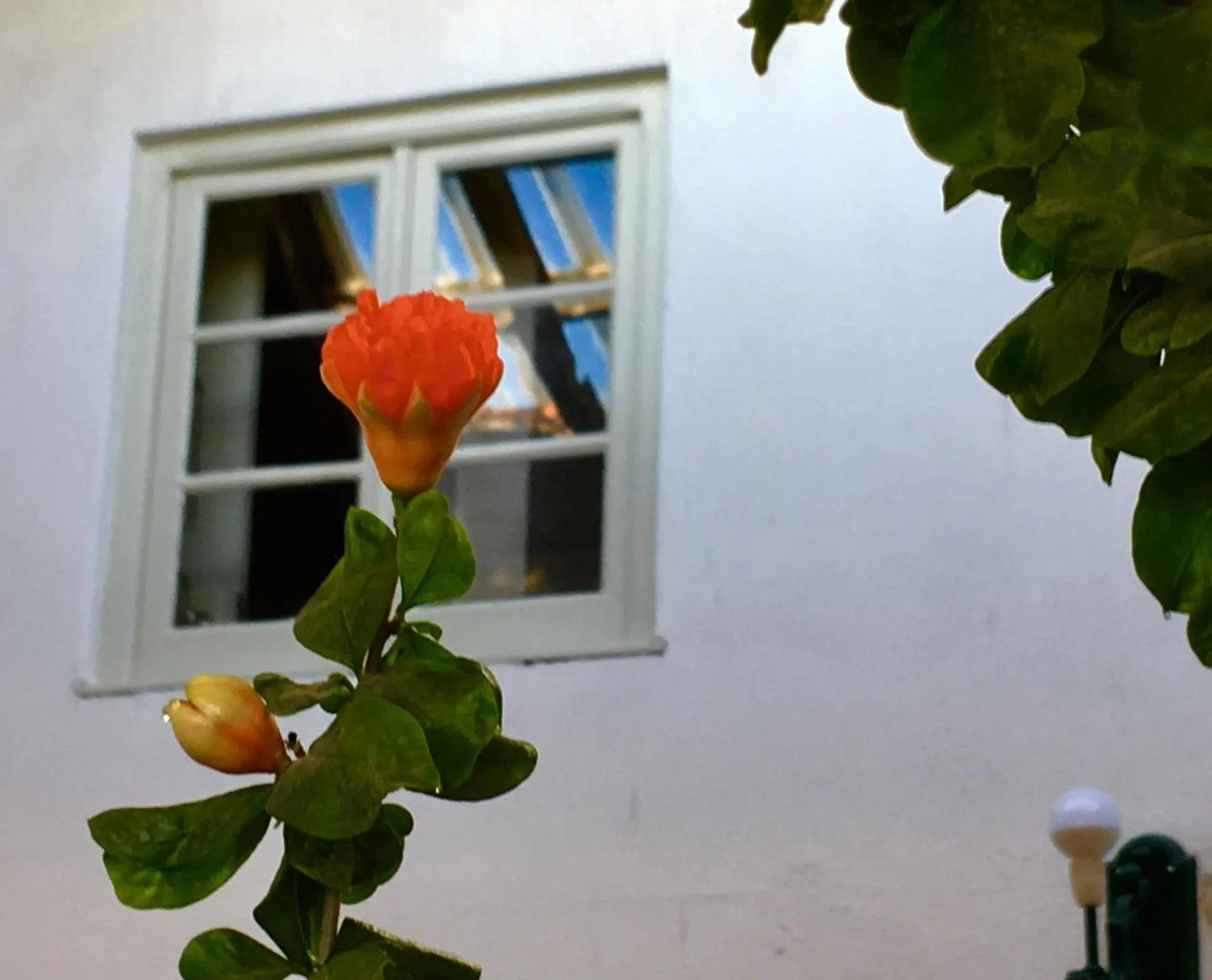 Residencial Avenida Hostel
