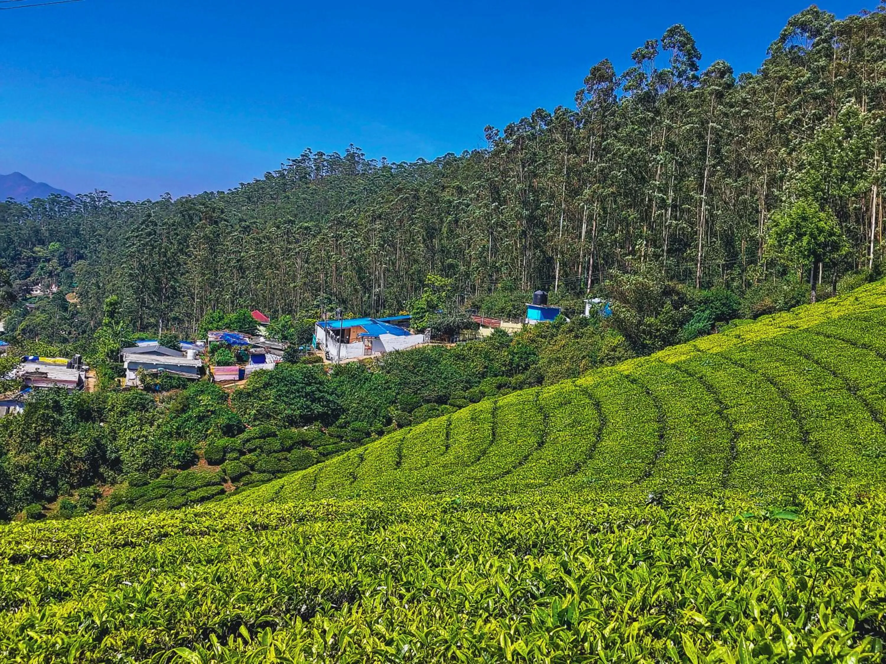 Property building in Munnar Valley View