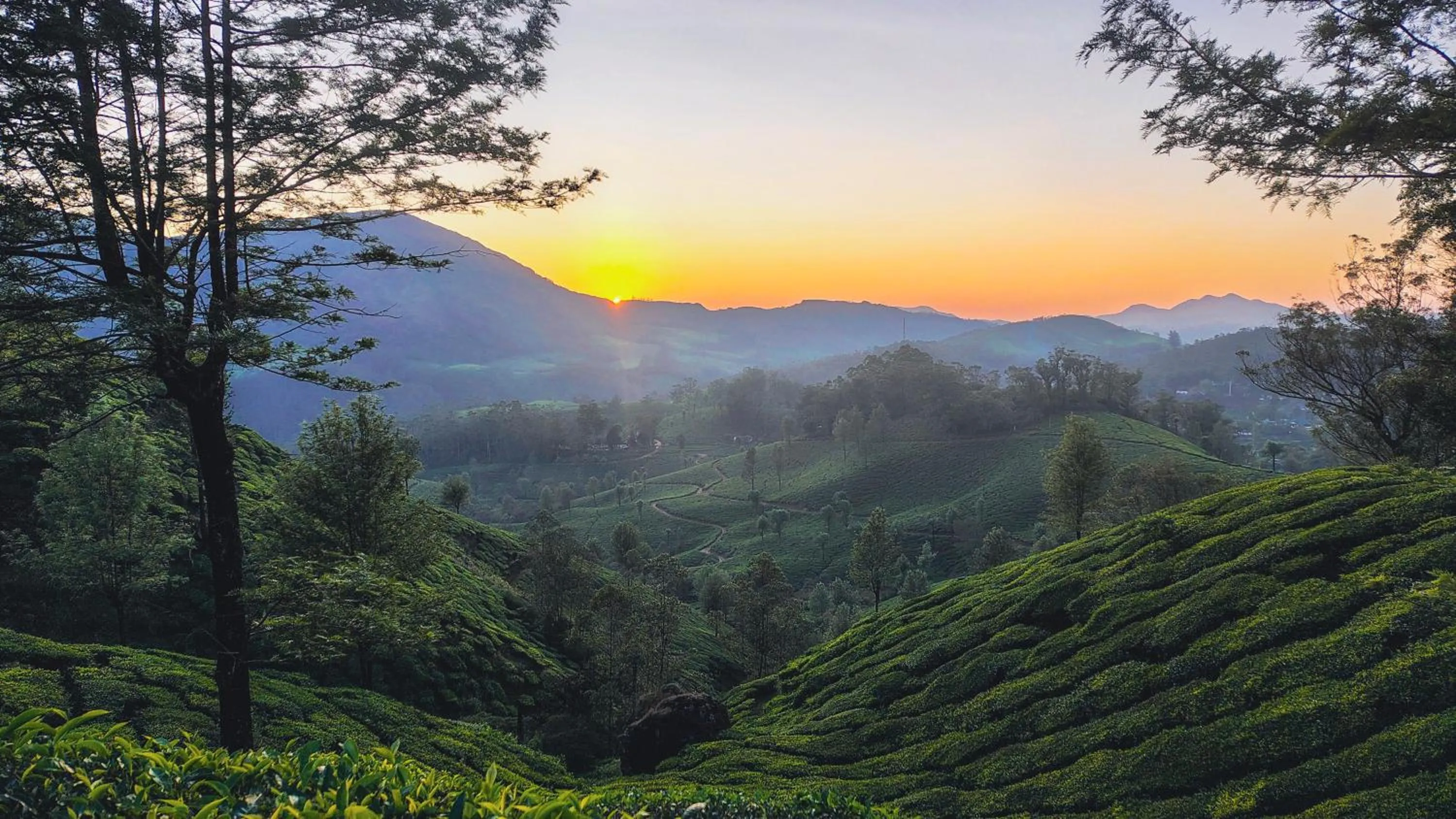 Sunset in Munnar Valley View