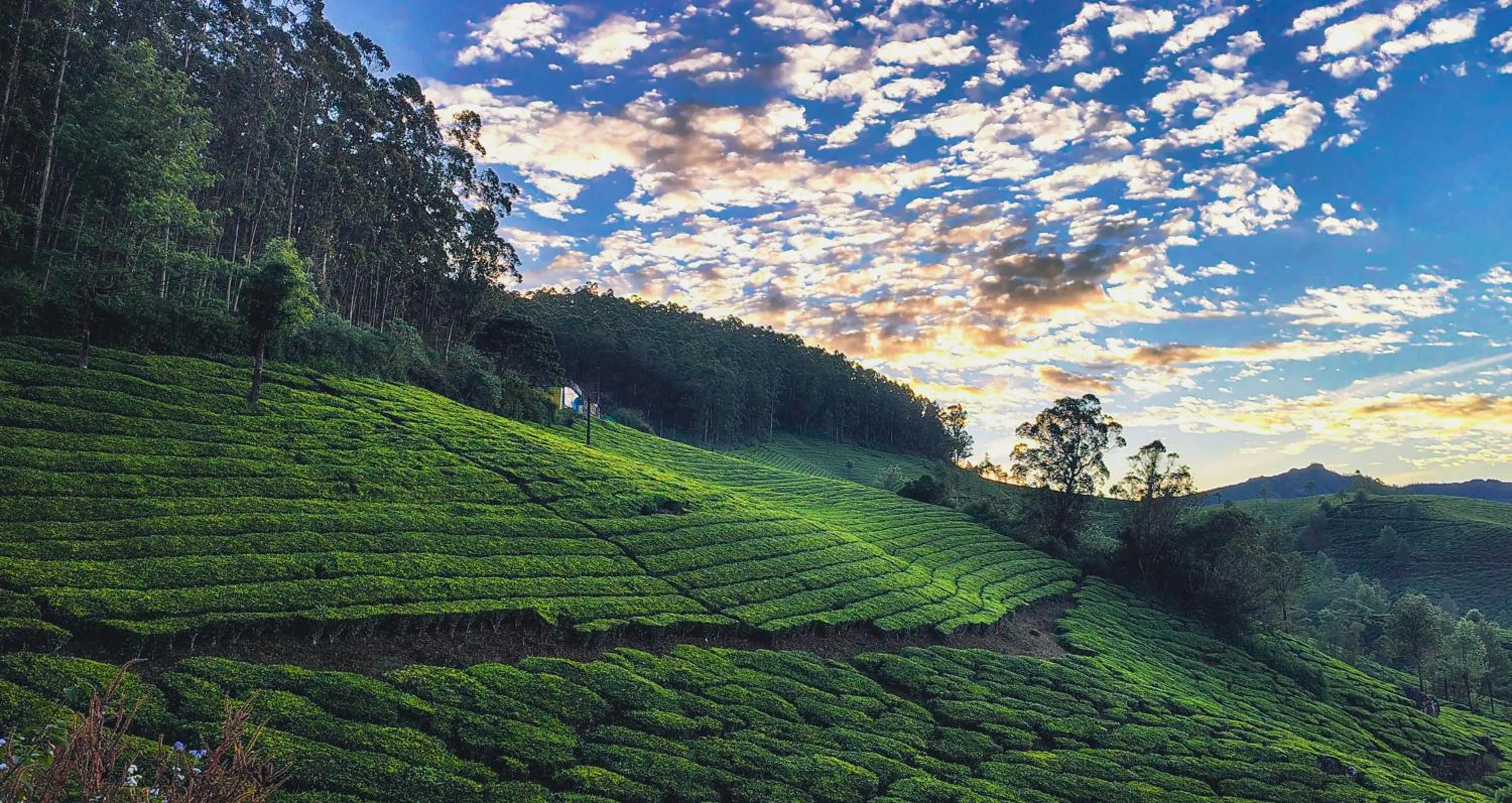 Landmark view in Munnar Valley View