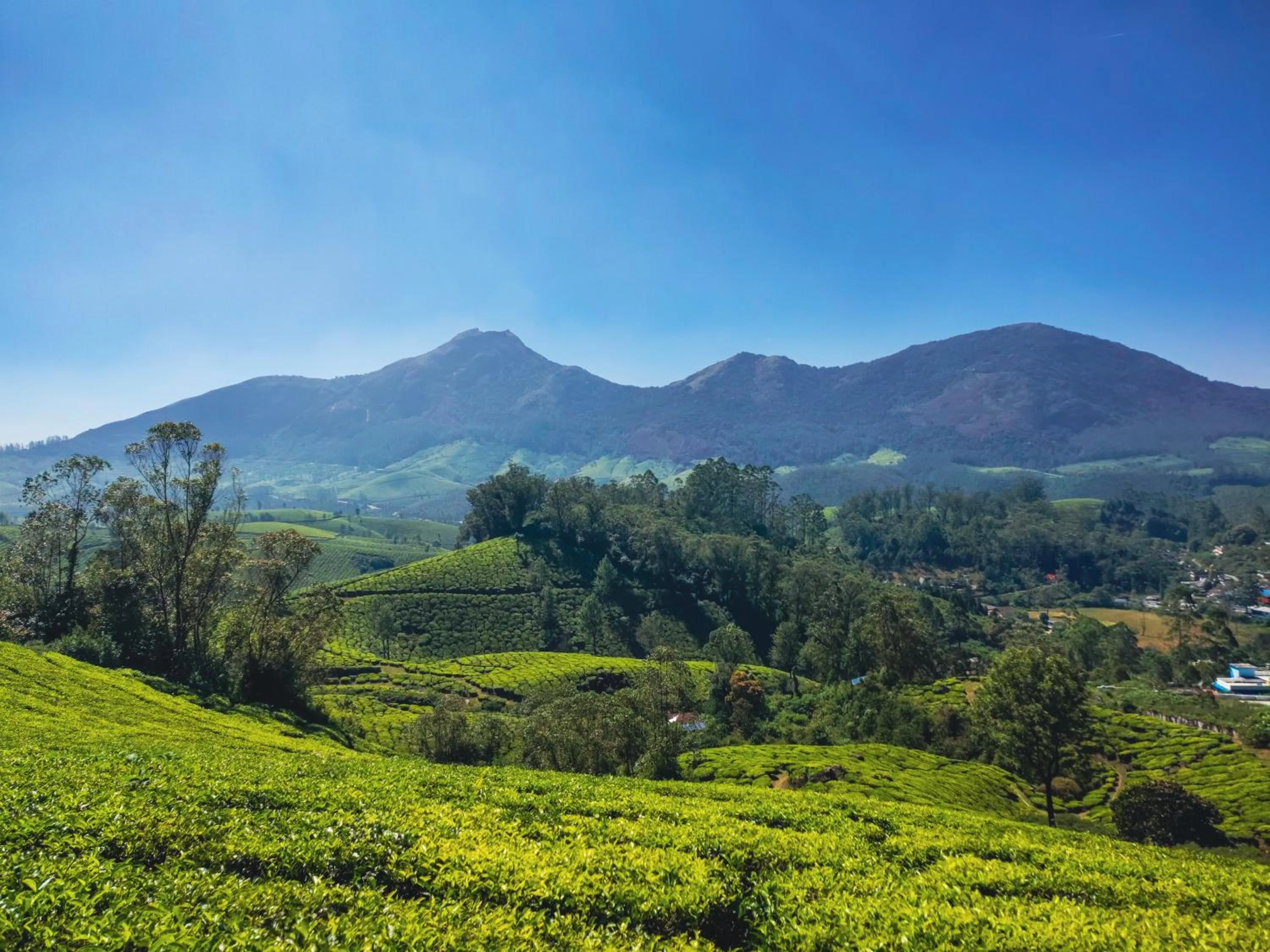 Landmark view in Munnar Valley View