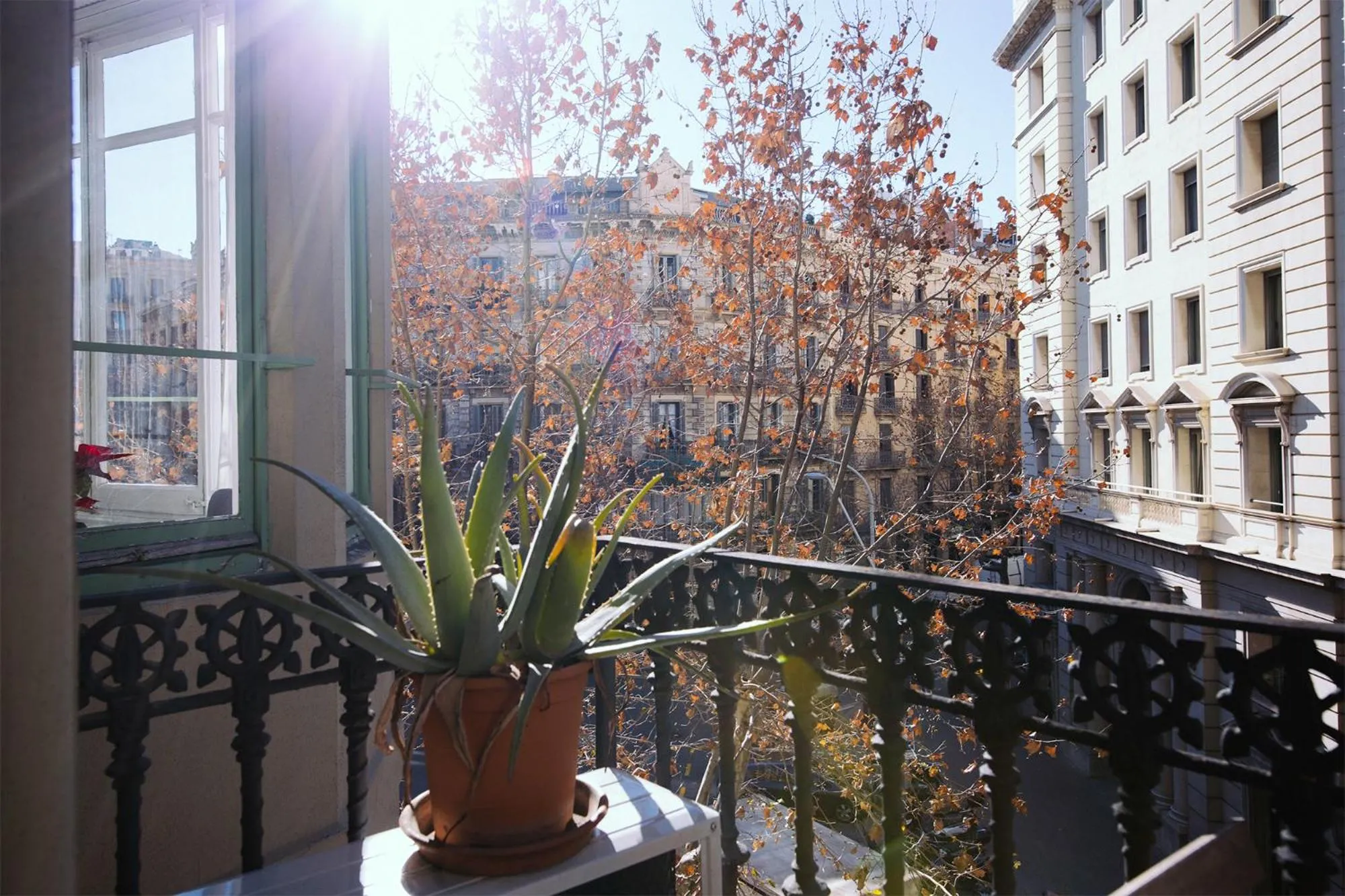 View (from property/room) in Hostal Eixample