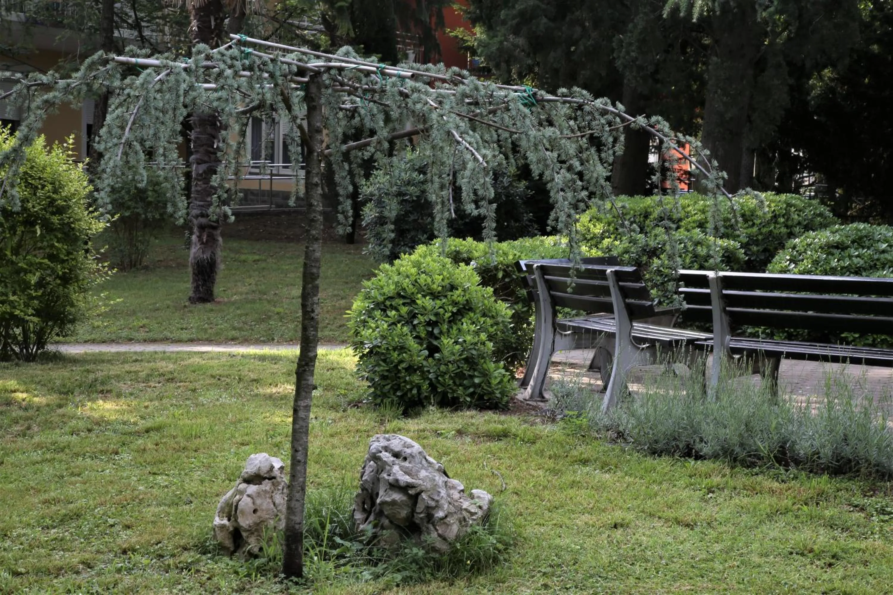 Garden in FLORAMARE HEALTH RESORT