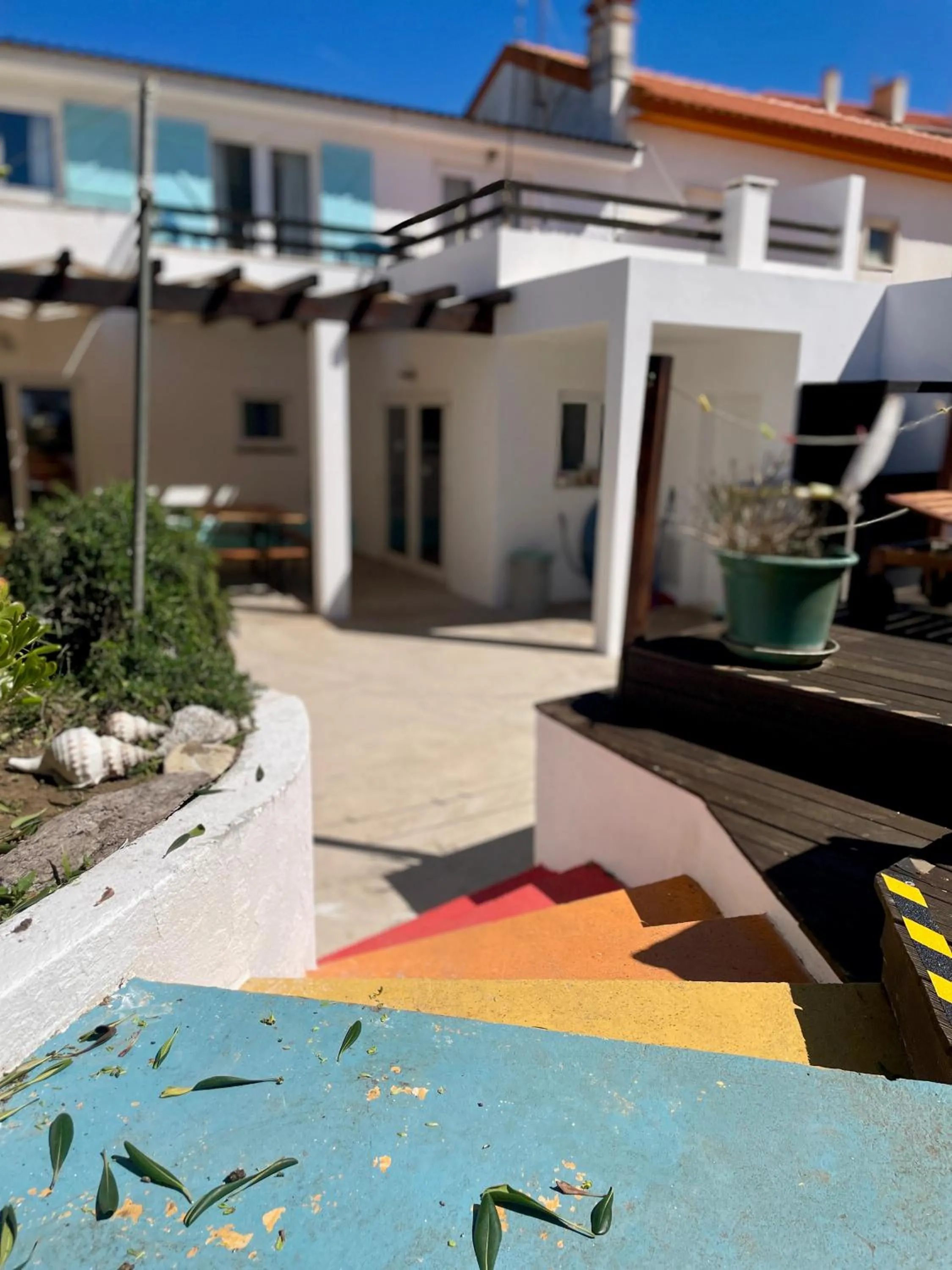 Garden in Native Surfhouse