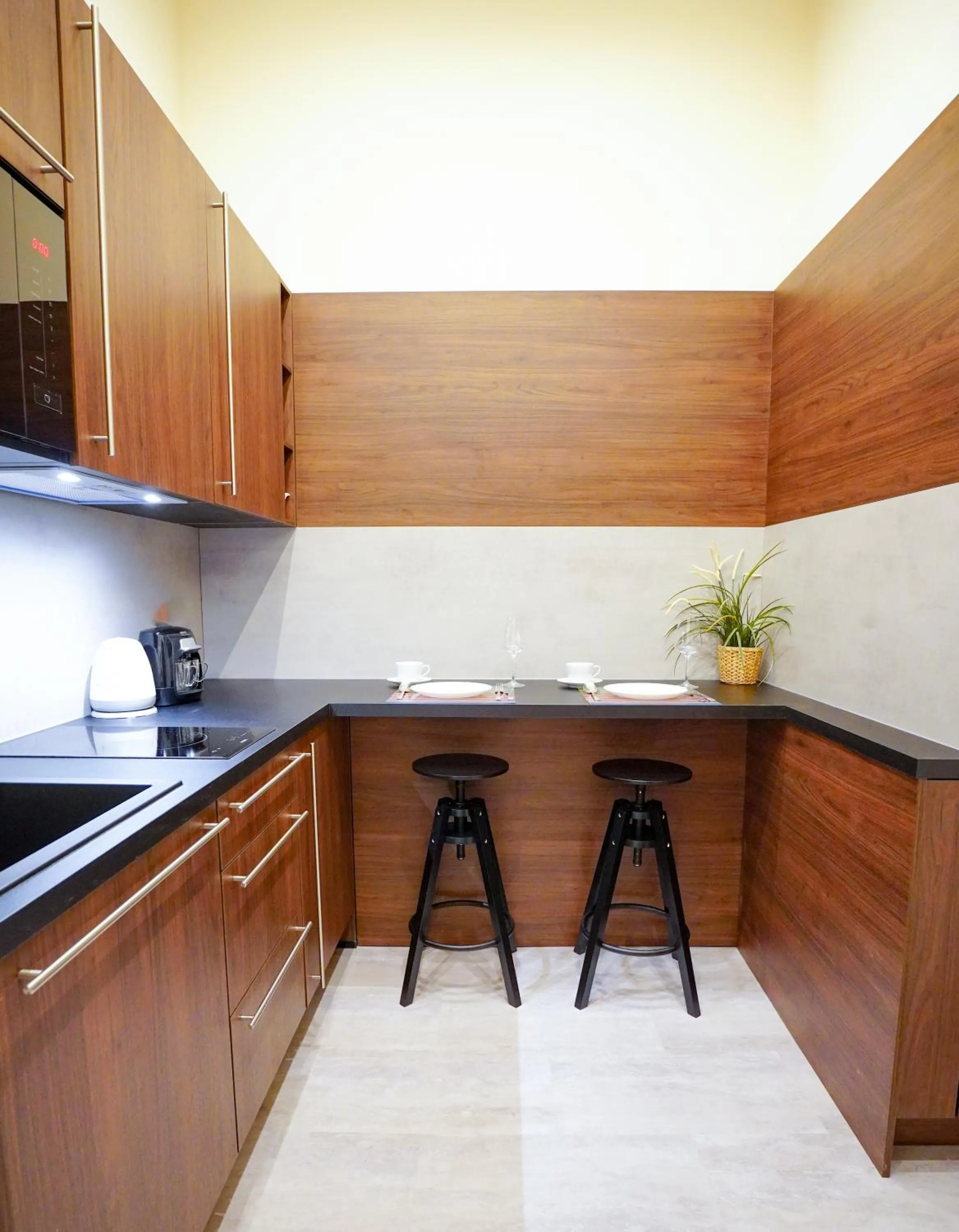 Kitchen or kitchenette in Elegant & Stylish Center Apartments!