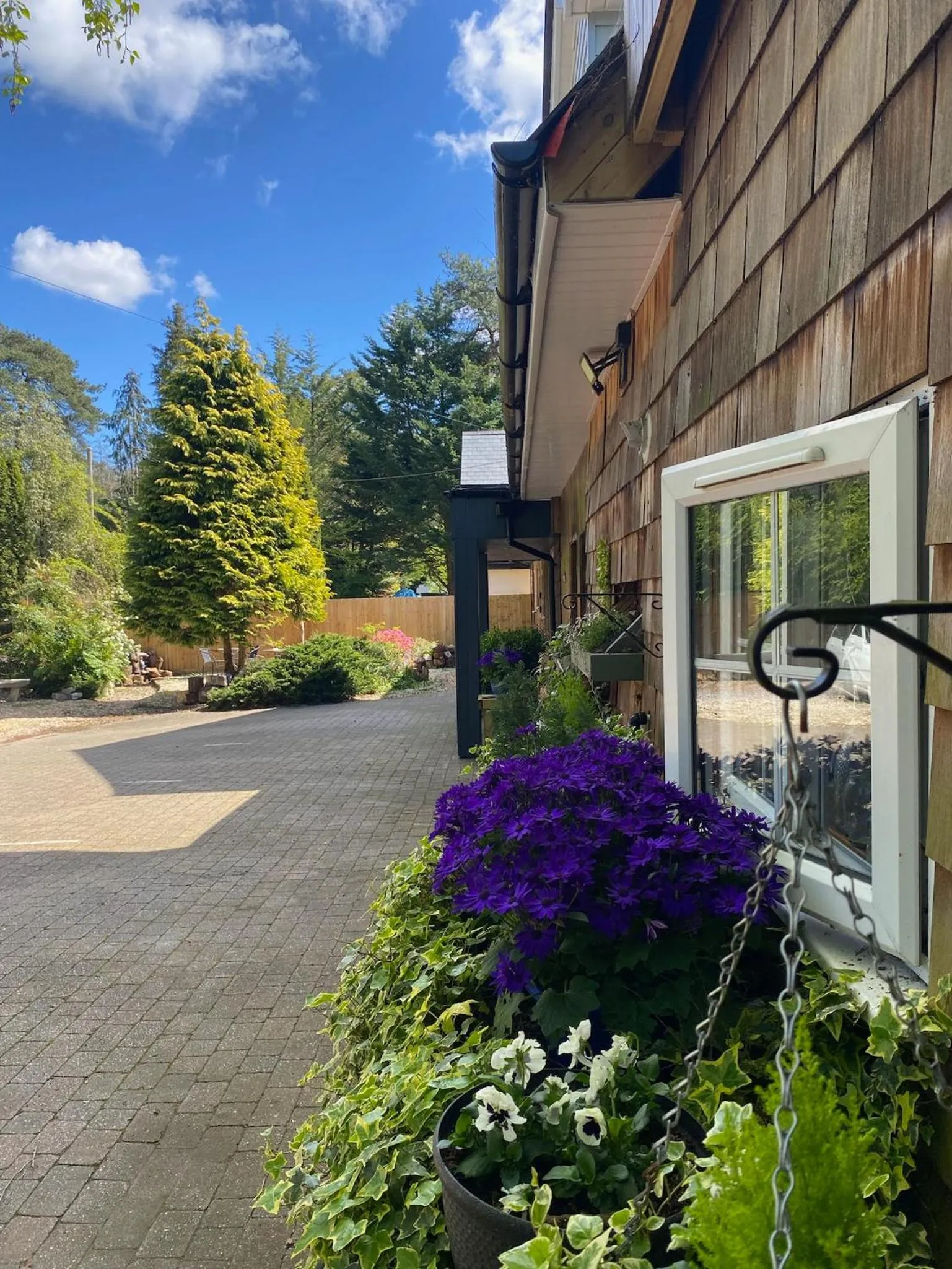 Garden view in Petherton Cottage Studios