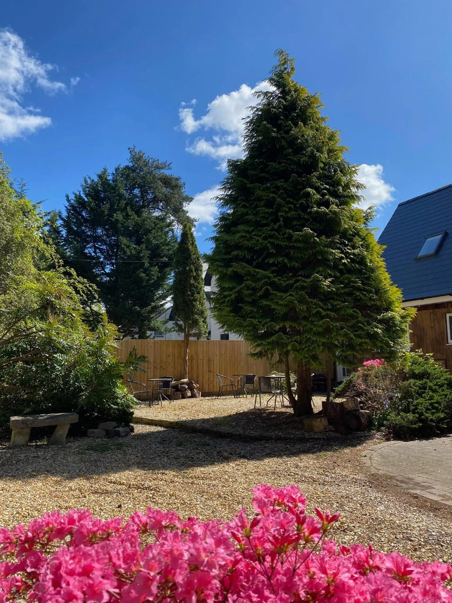 Garden view in Petherton Cottage Studios