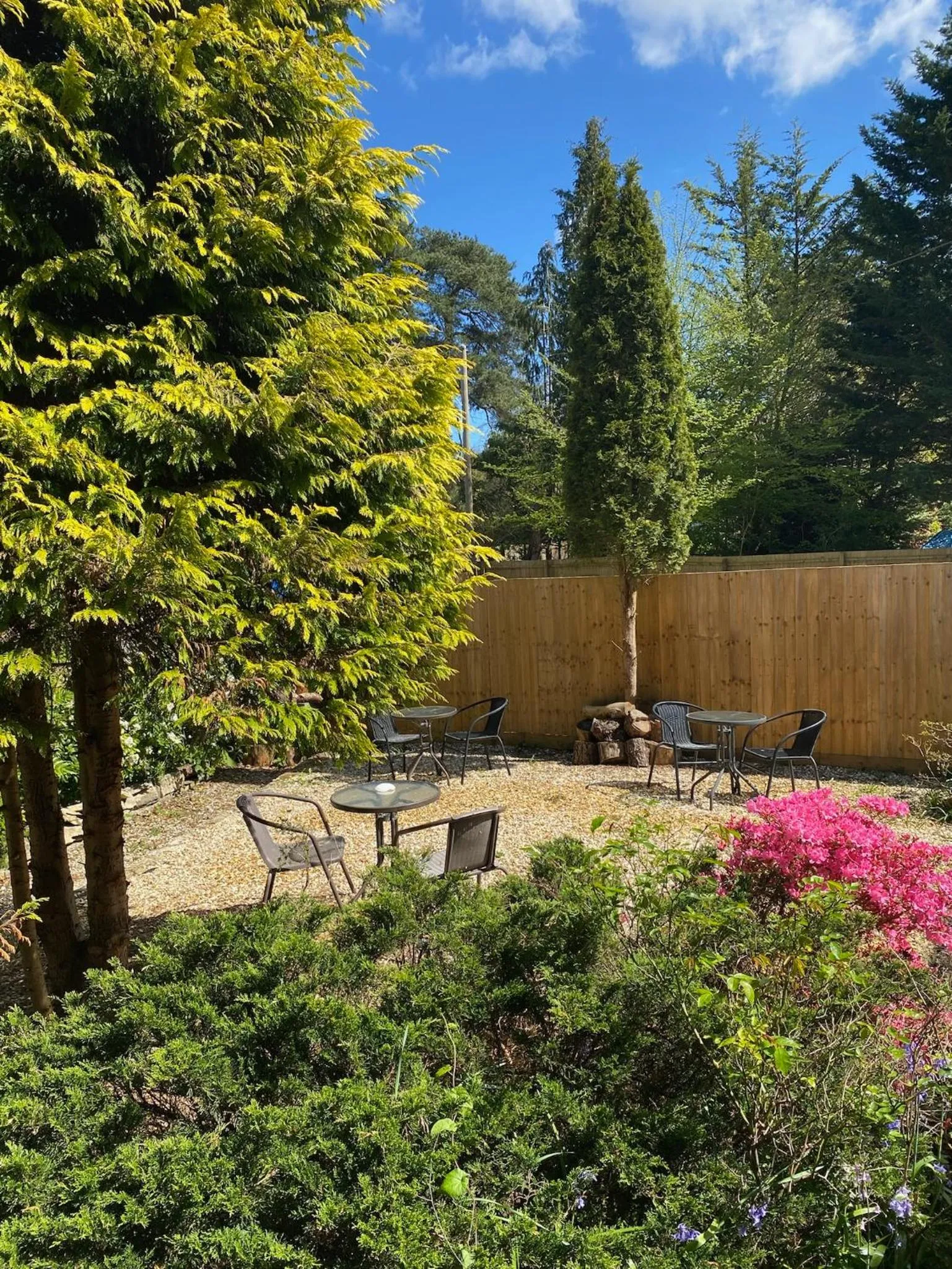 Garden in Petherton Cottage Studios