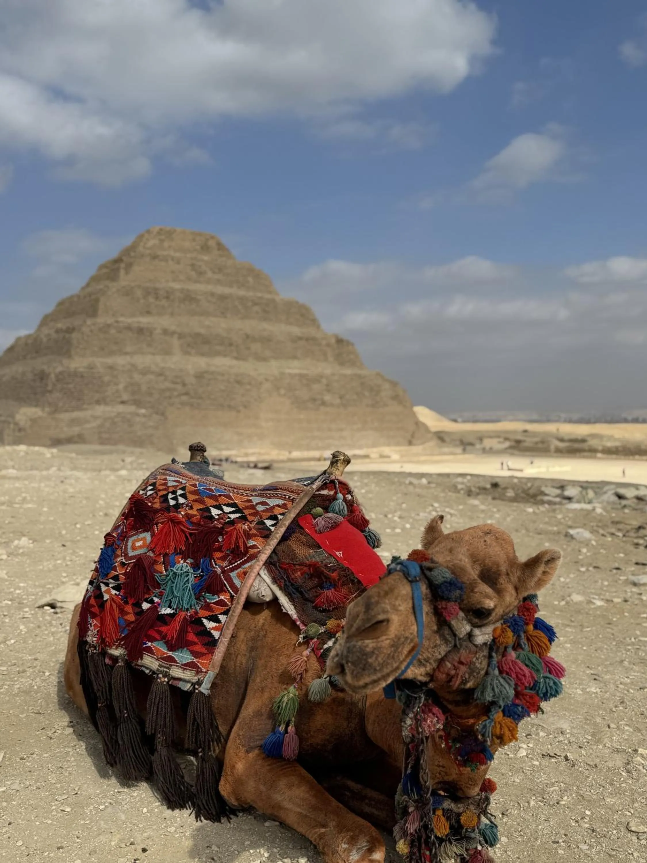 Nearby landmark in K Boutique Hotel MedSpa-Pyramids & Grand Egyptian Museum