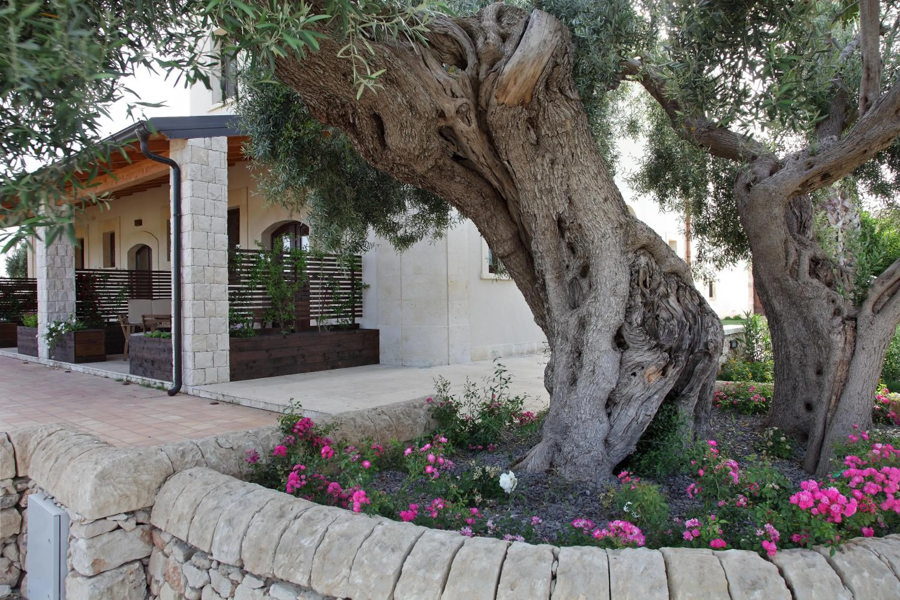 Spring in Casal Sikelio