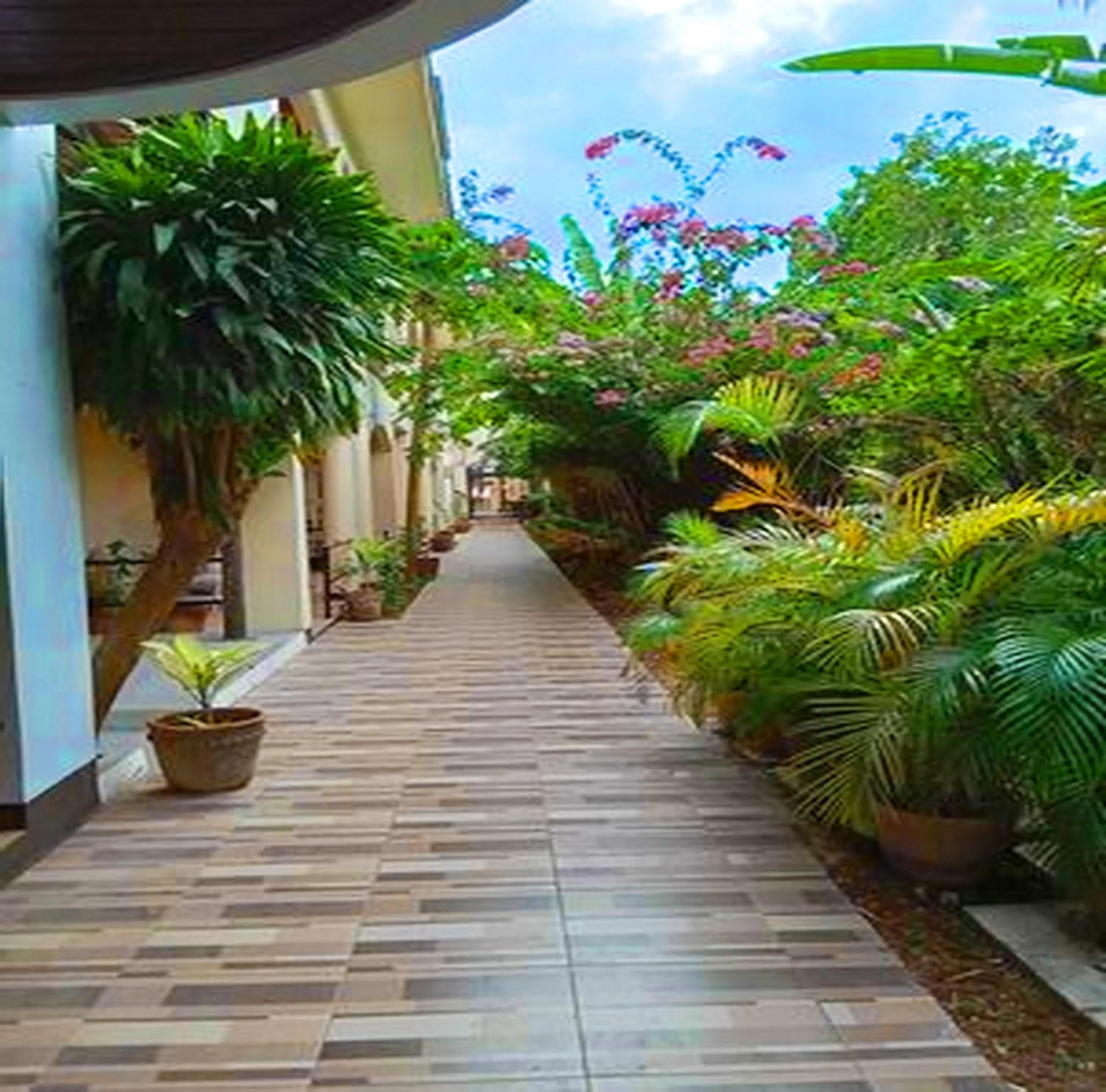 Garden in Lukay Las Brisas