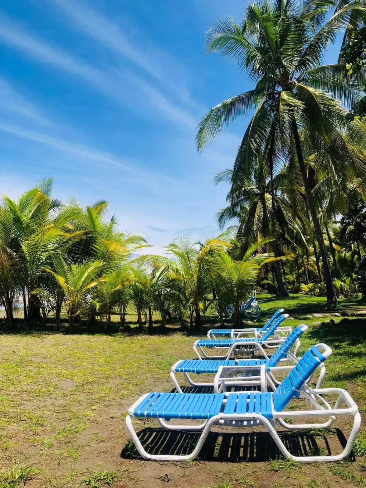 Natural landscape in Hotel Delfin Playa Bejuco