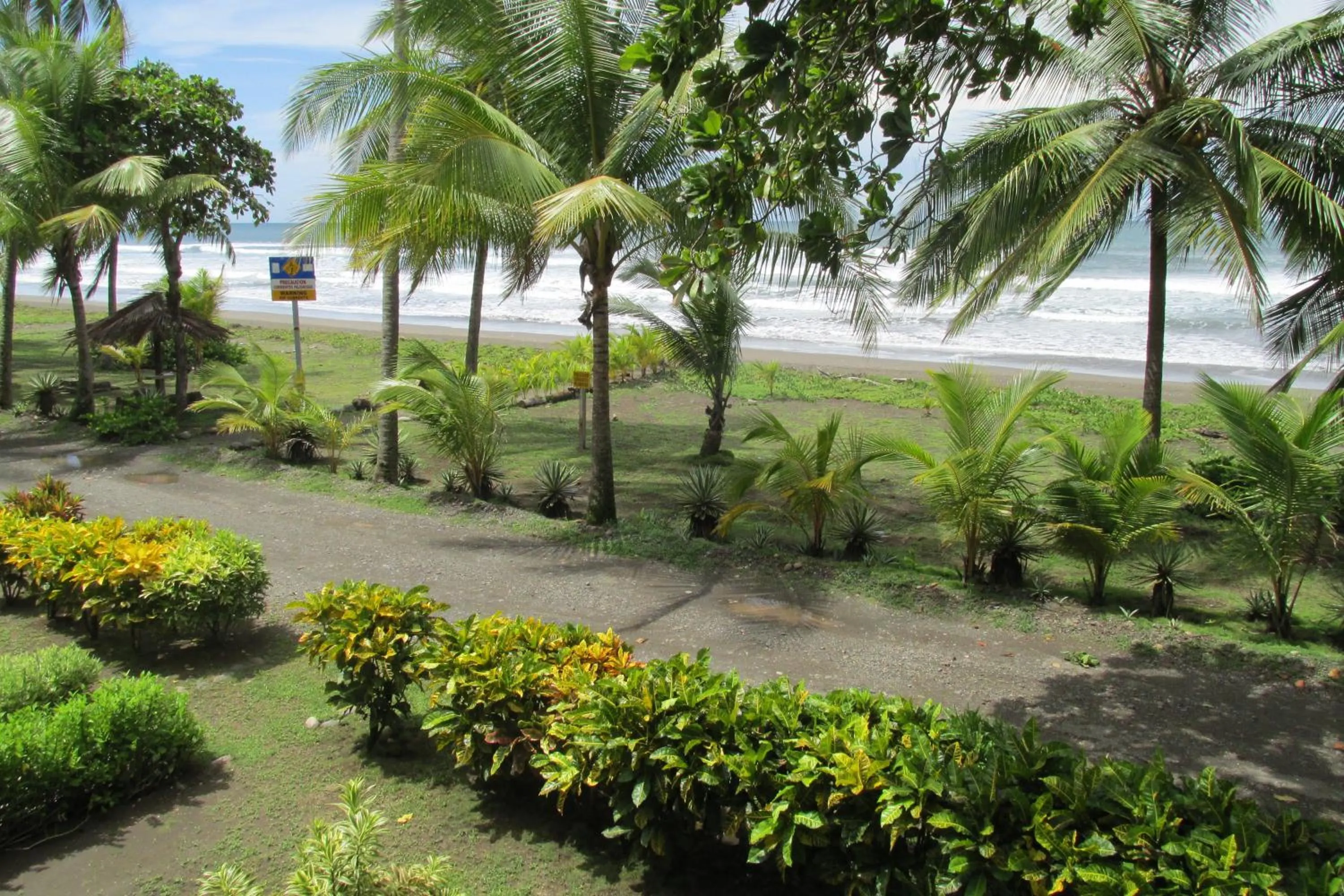 View (from property/room) in Hotel Delfin Playa Bejuco