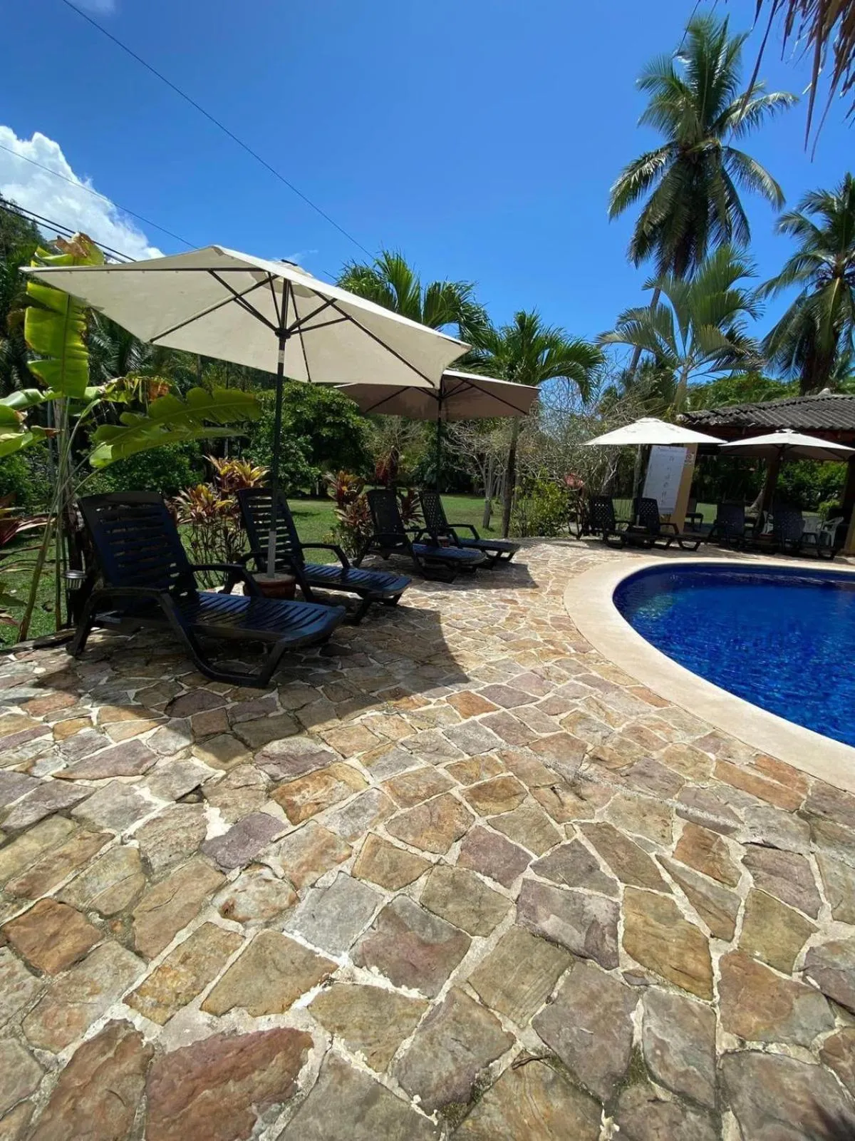 Hotel Delfin Playa Bejuco