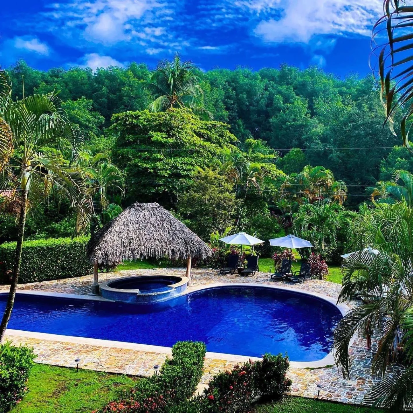 Hotel Delfin Playa Bejuco