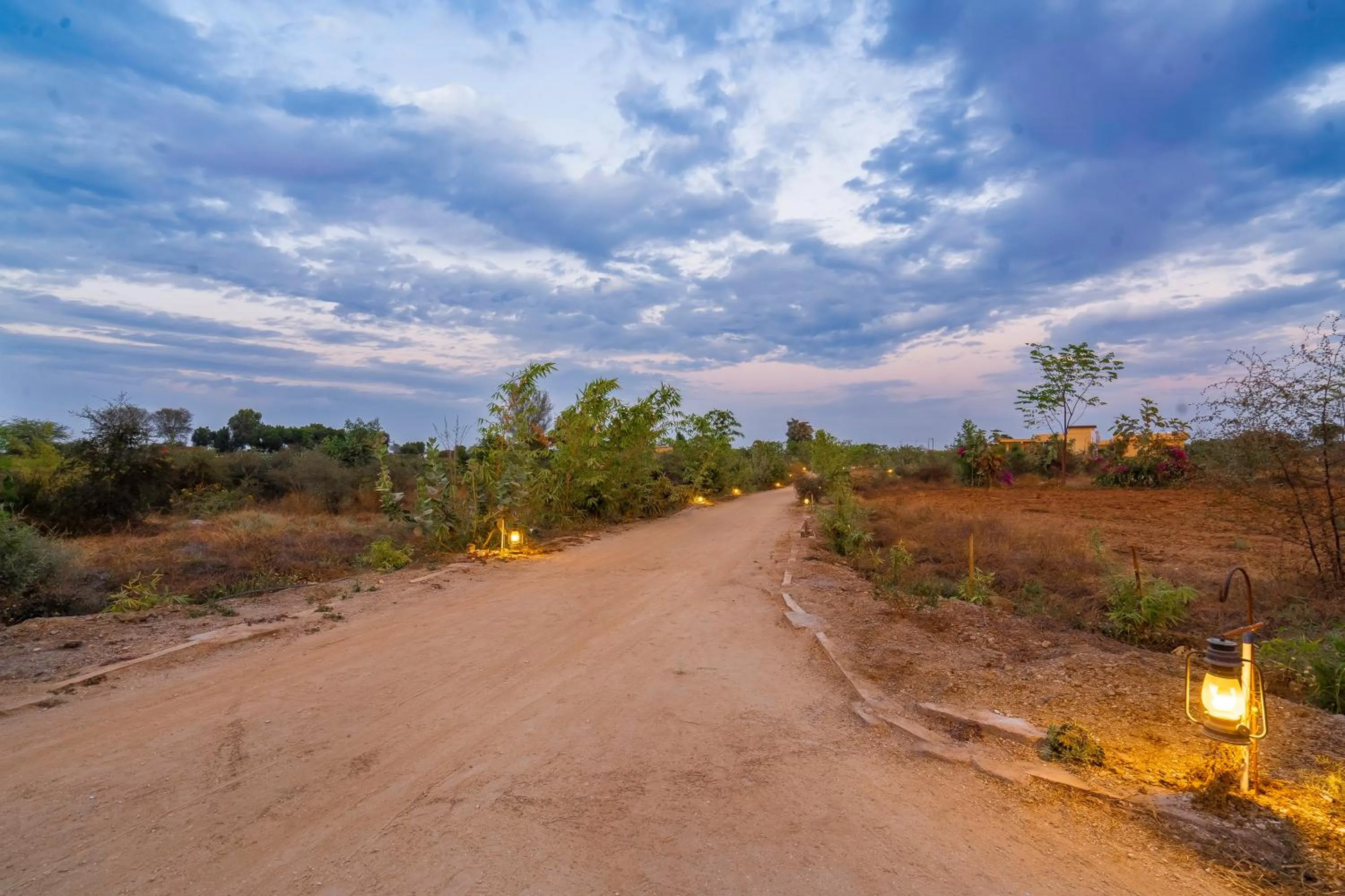 View (from property/room) in KURJA Jawai