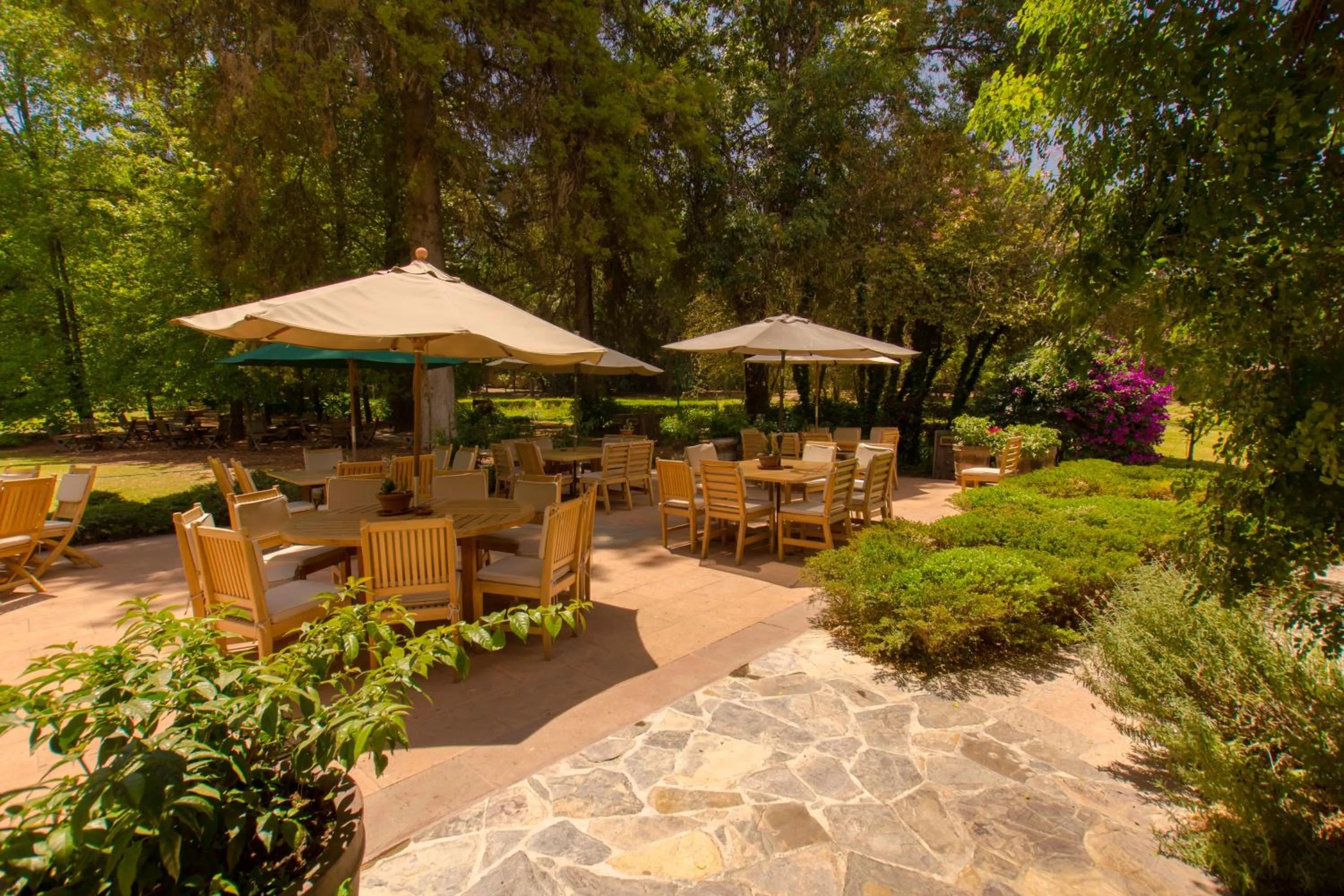 Restaurant/places to eat in Hotel Rancho San Cayetano