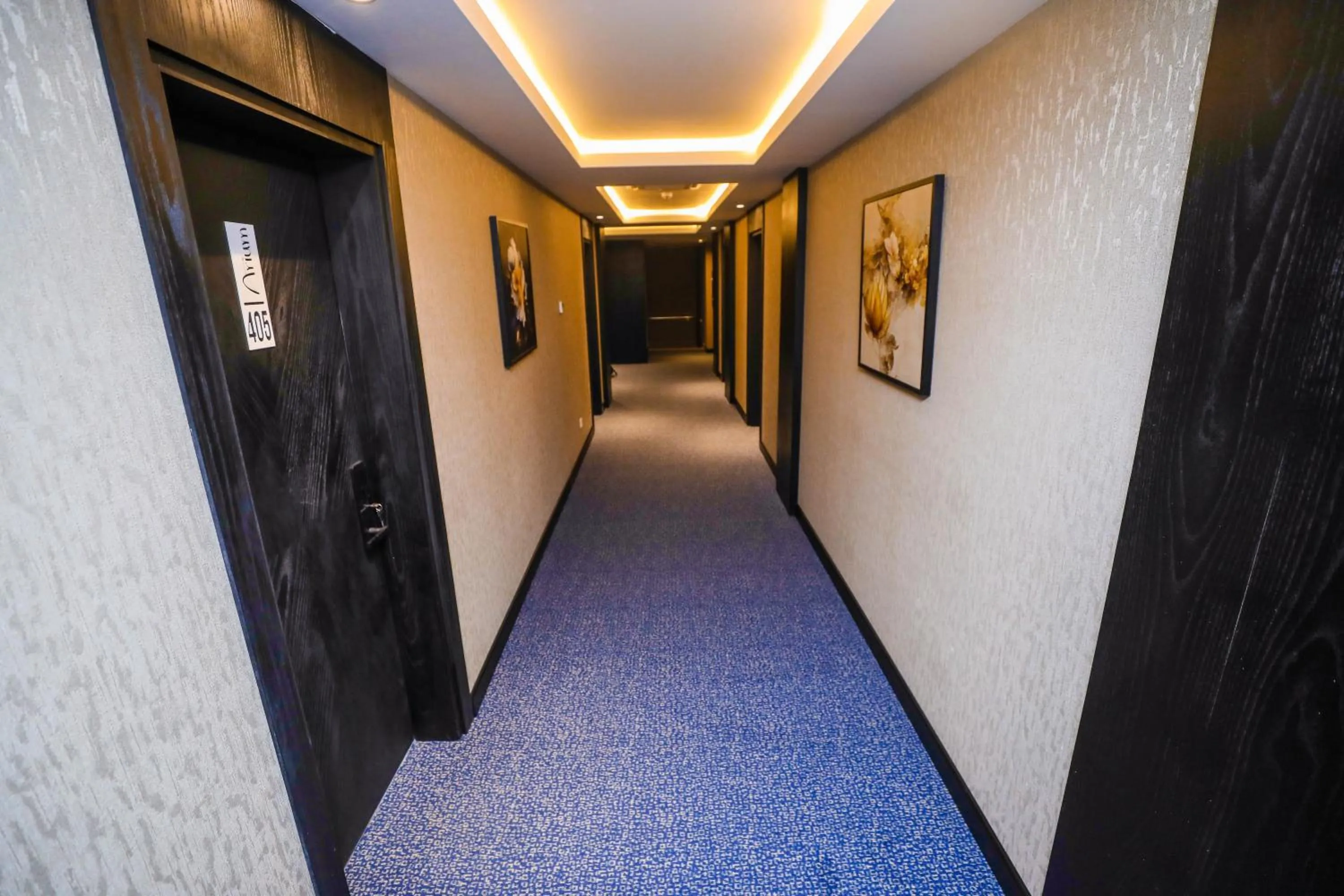 Area and facilities in Arium Hotel Baku