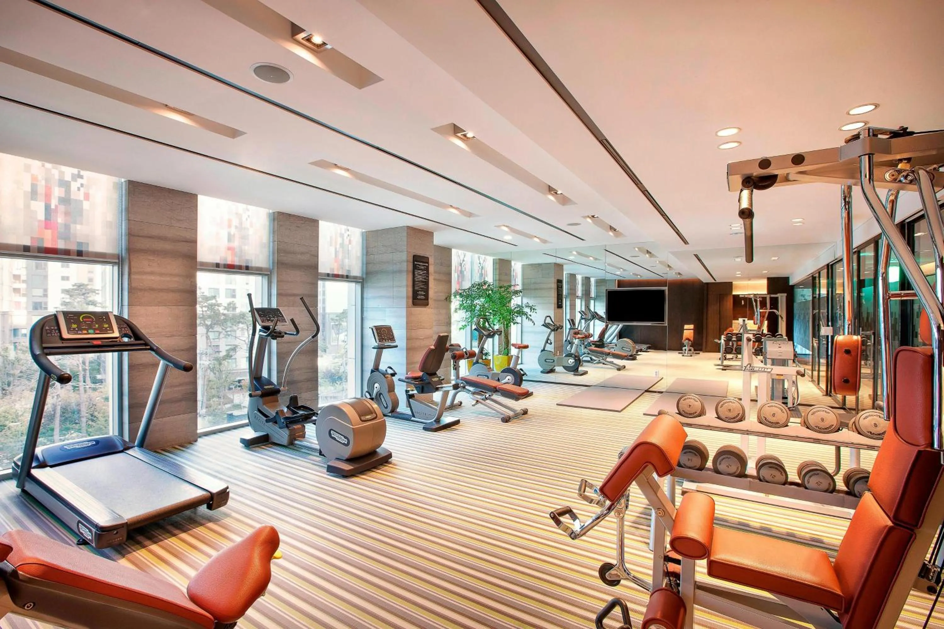 Fitness centre/facilities in Aloft Seoul Gangnam