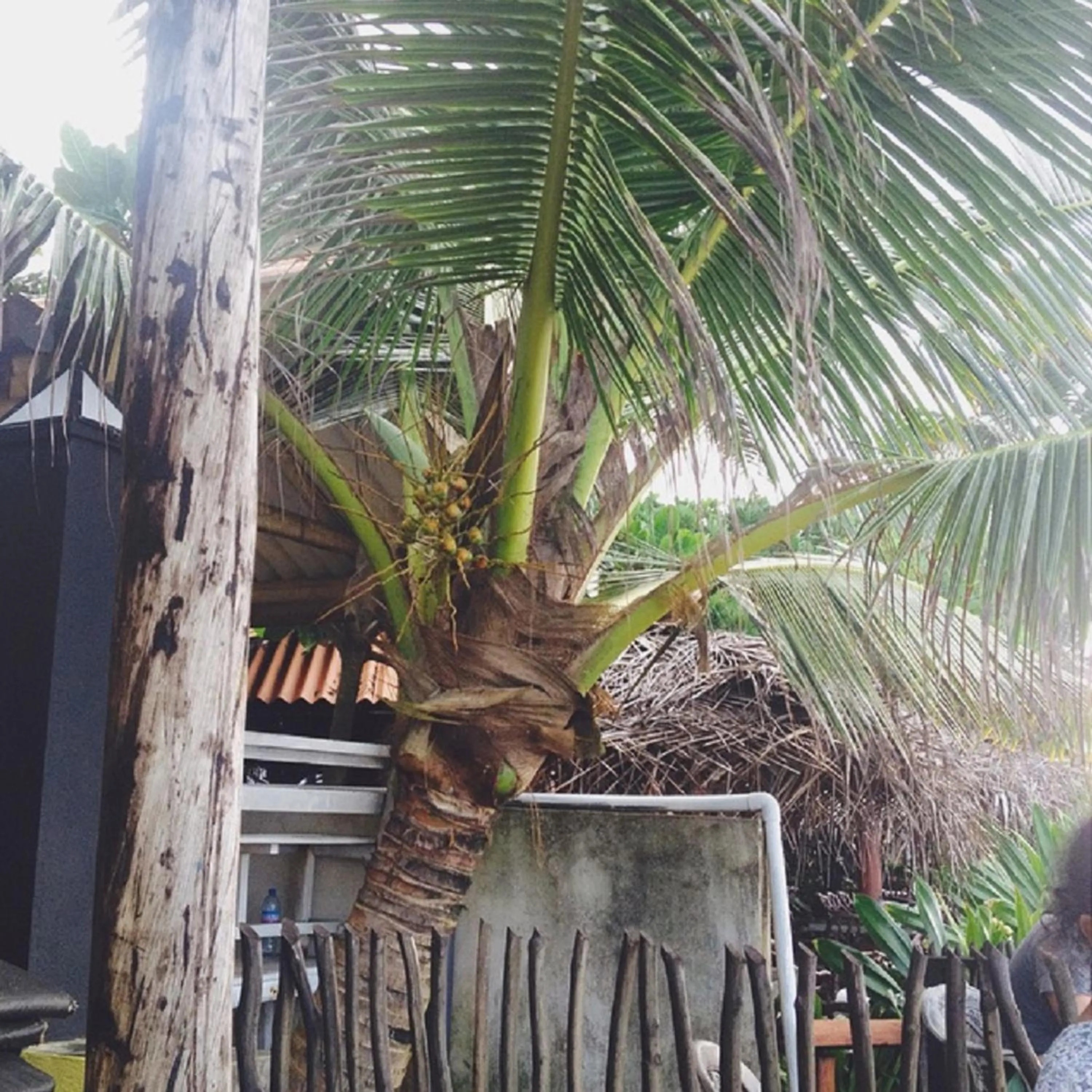 Beach in Casalanka Hotel