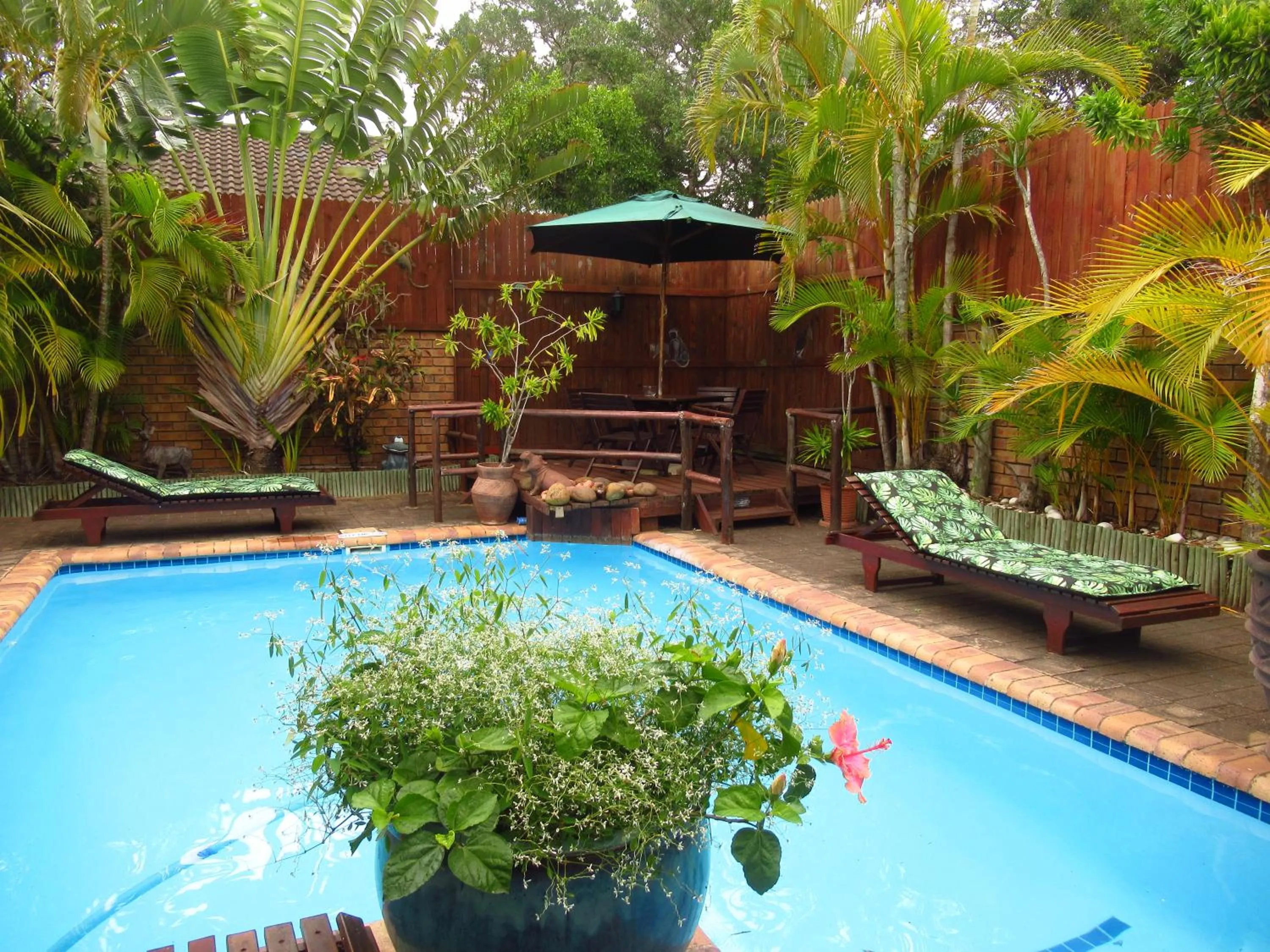 Swimming pool in Bhangazi Lodge Bed & Breakfast
