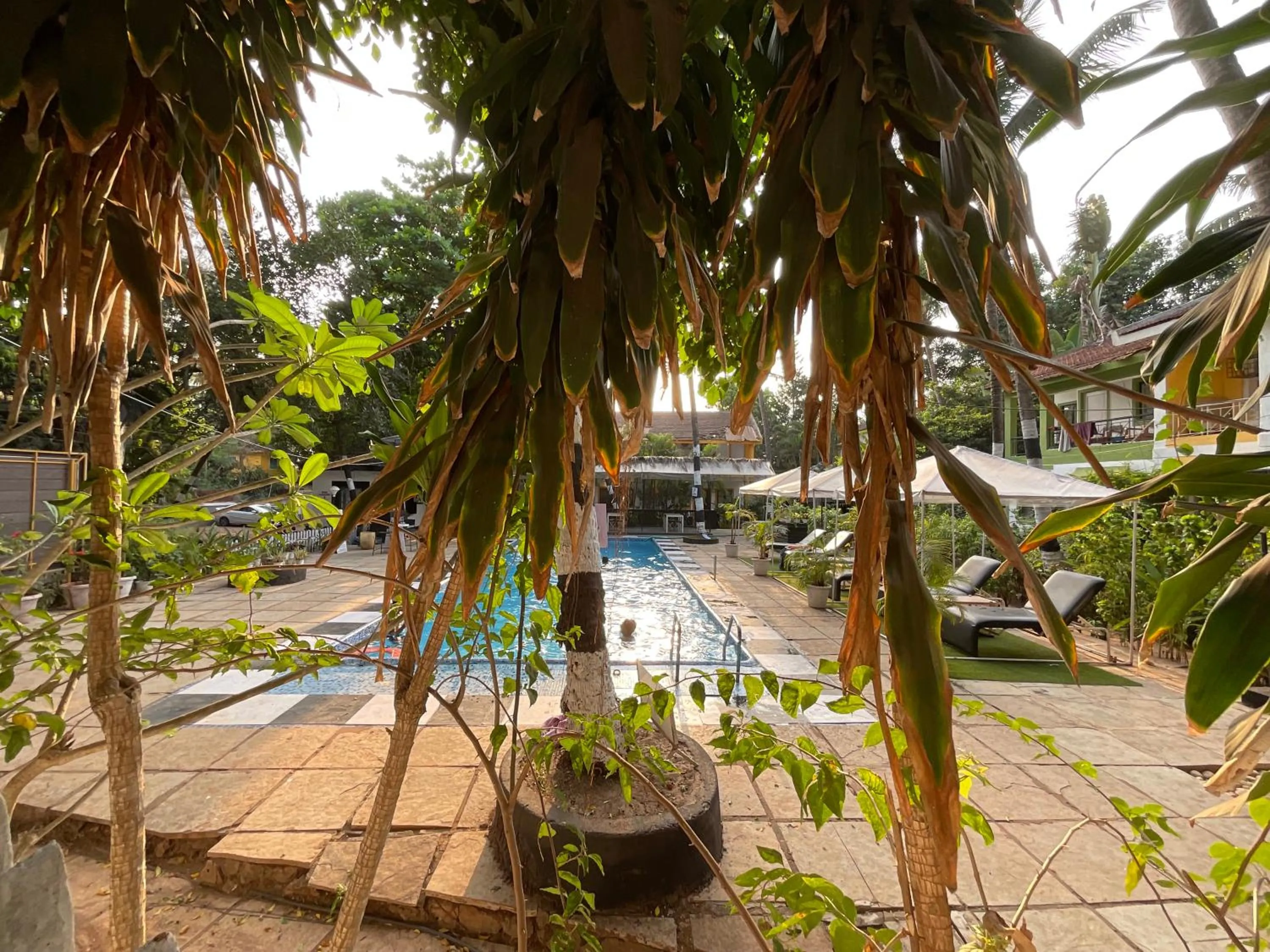 Garden in Ondas Do Mar Beach Resort Phase-1