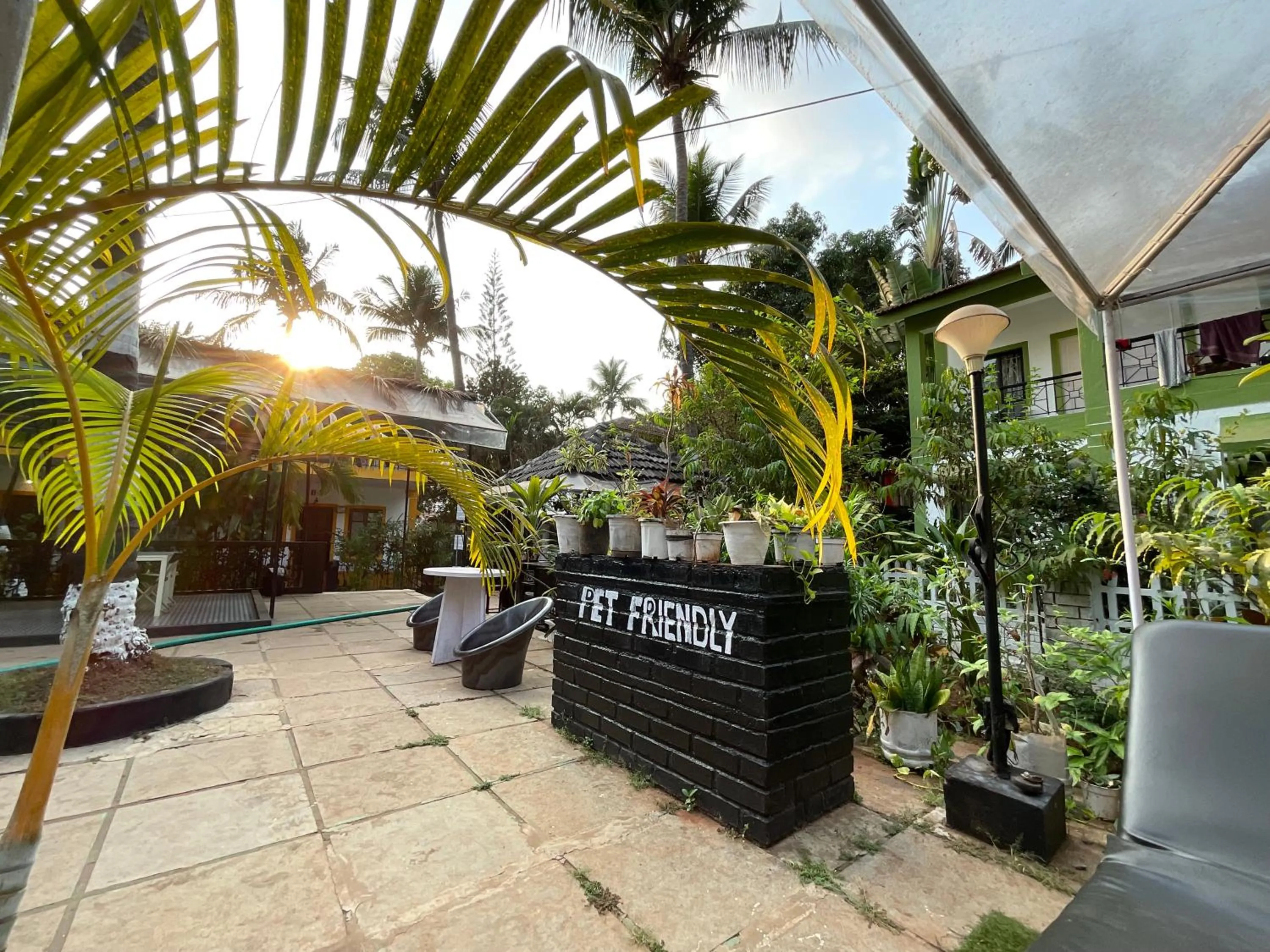 pet friendly in Ondas Do Mar Beach Resort Phase-1