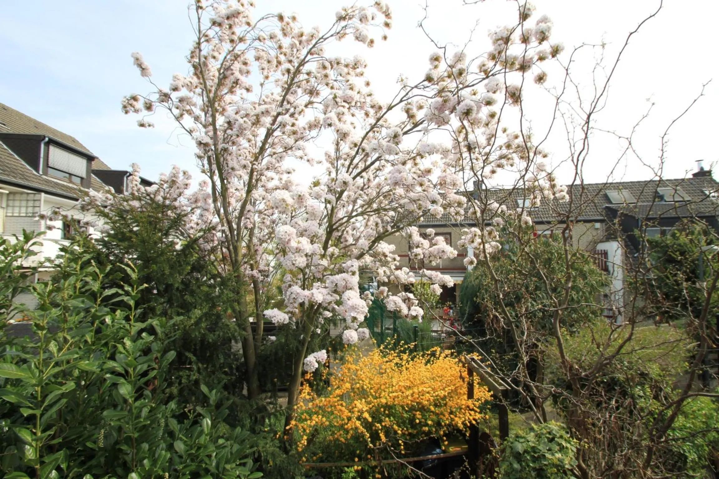 Garden in B&B am See Köln - Privatzimmer