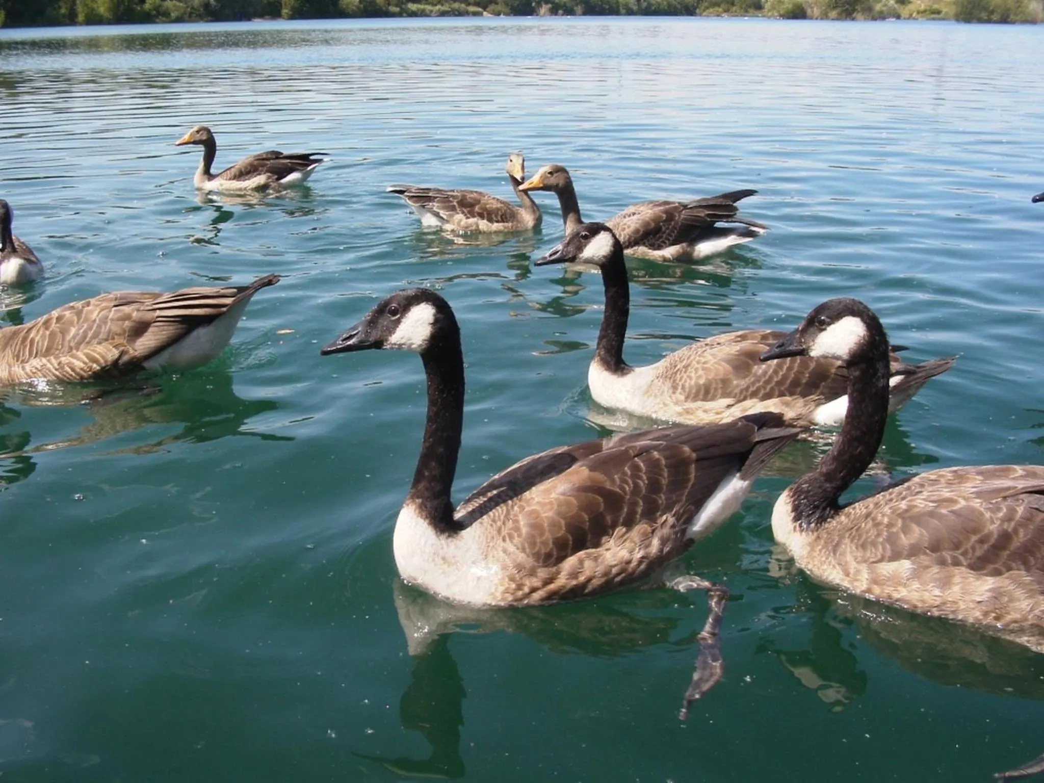 Beach in B&B am See Köln - Privatzimmer
