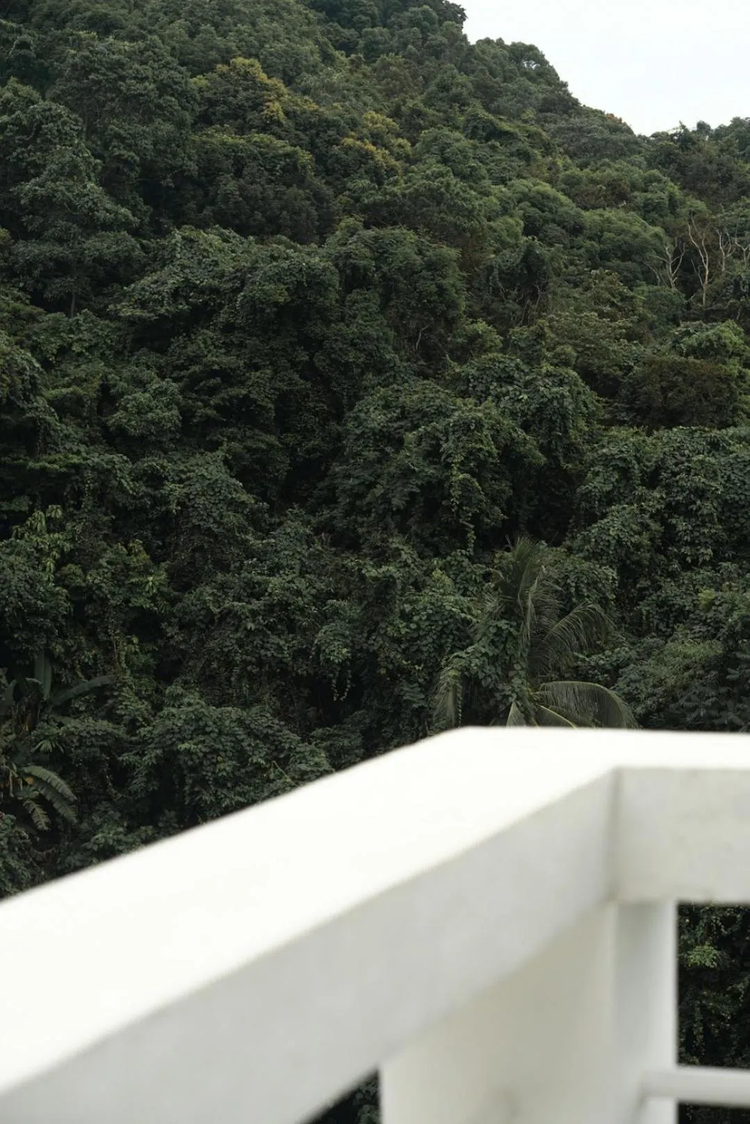 View (from property/room) in El Nido Bayview Resort