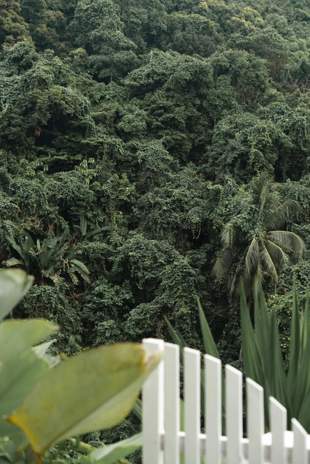 View (from property/room) in El Nido Bayview Resort