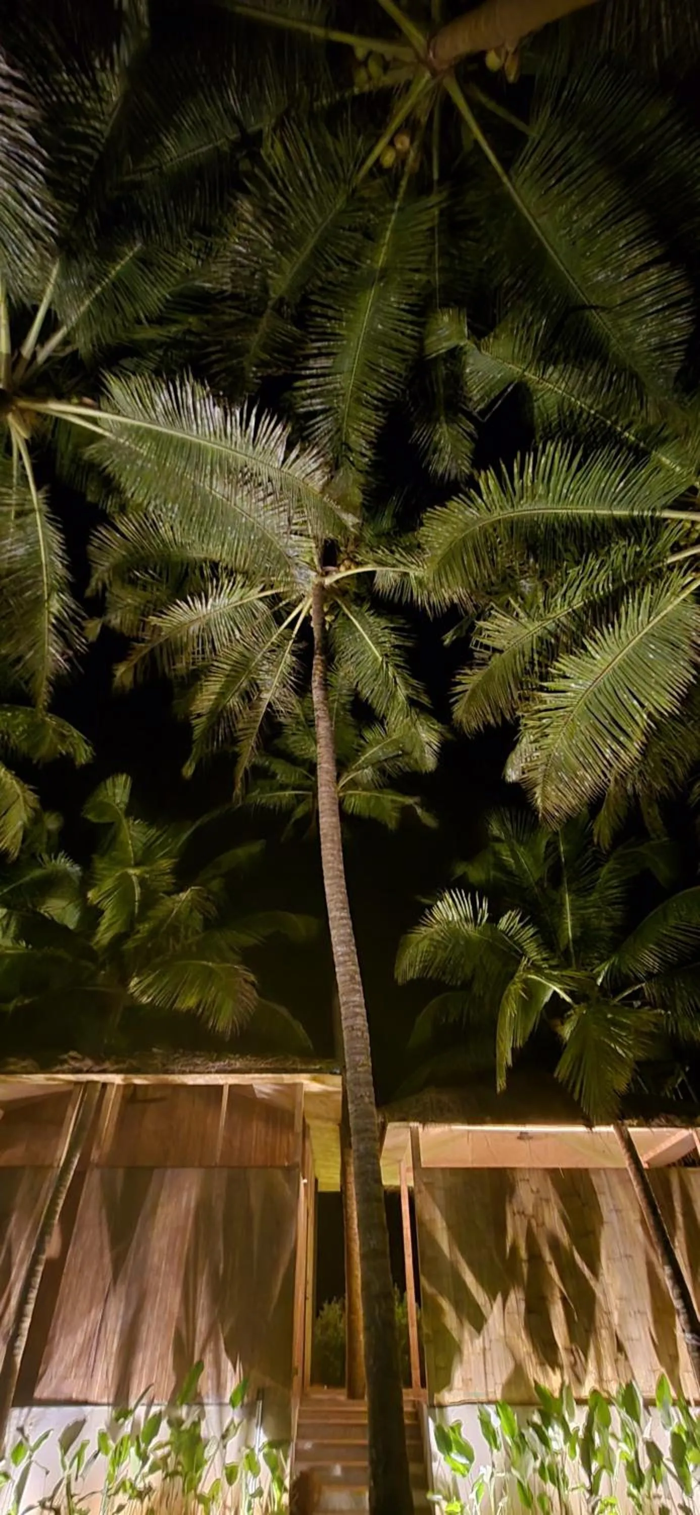 Natural landscape in Kurma A Private Beach