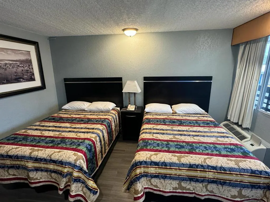 Bed in Midtown Lodge