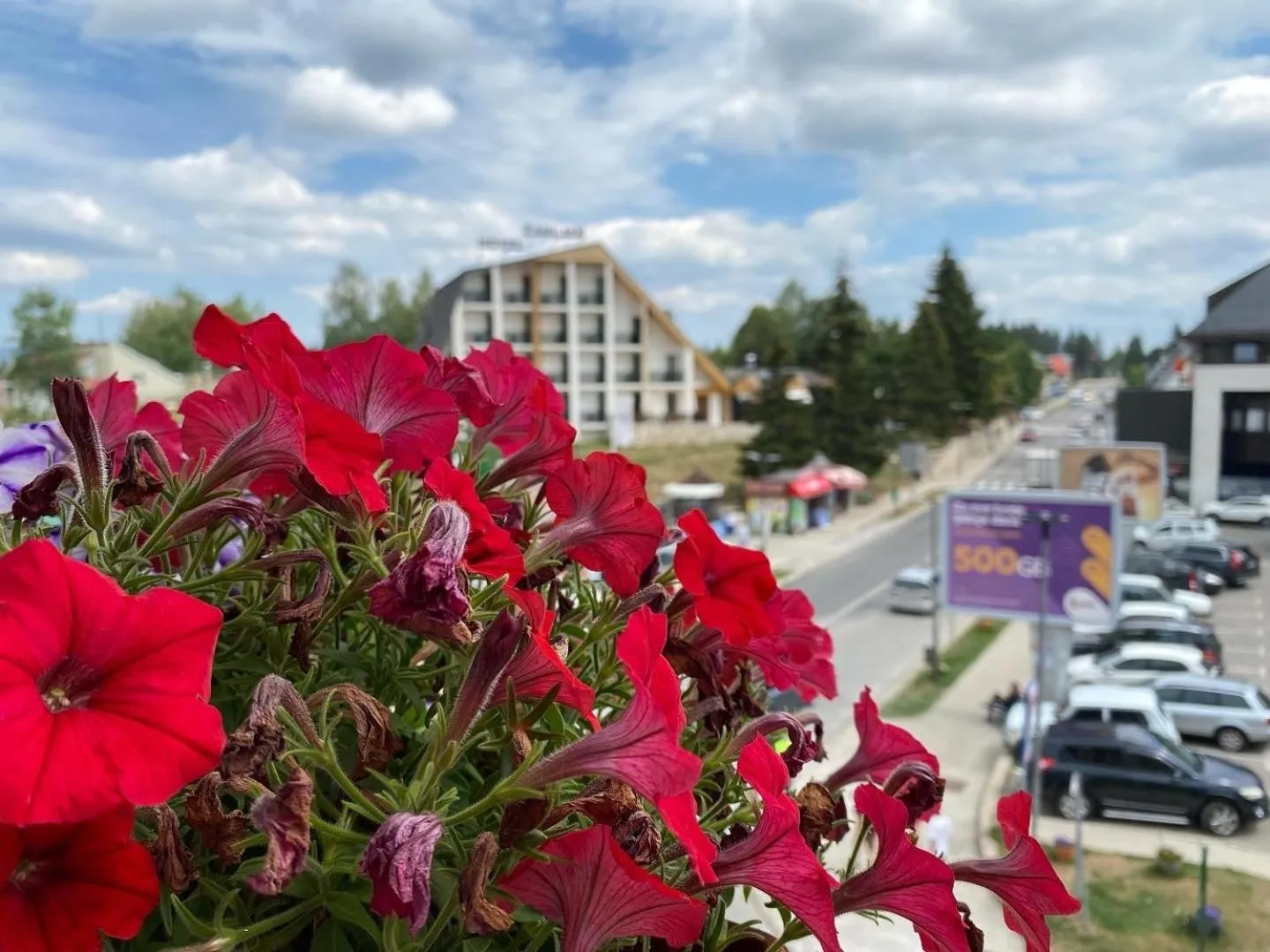 Apartment Zabljak Center