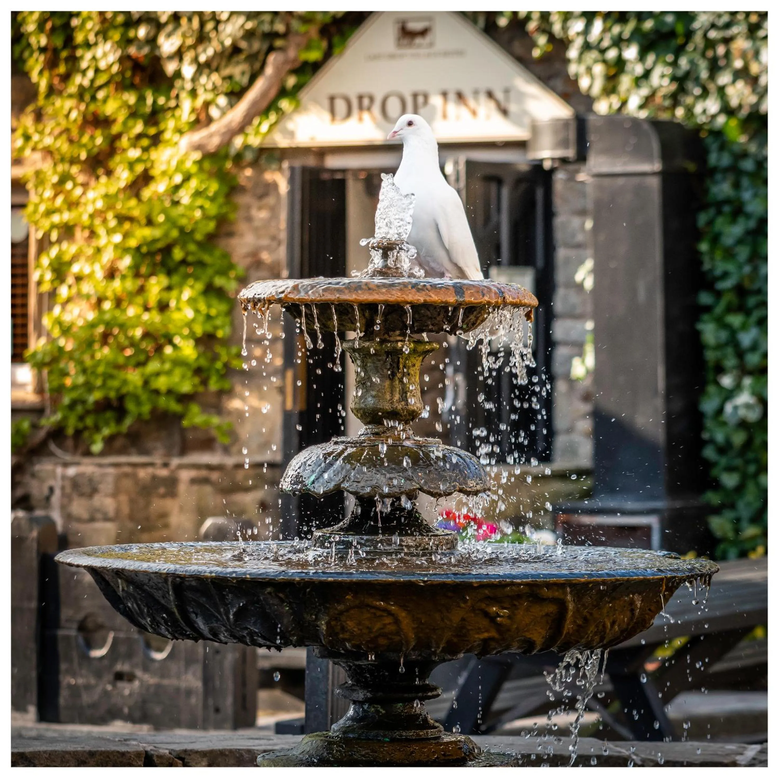 Property building in Last Drop Village Hotel & Spa