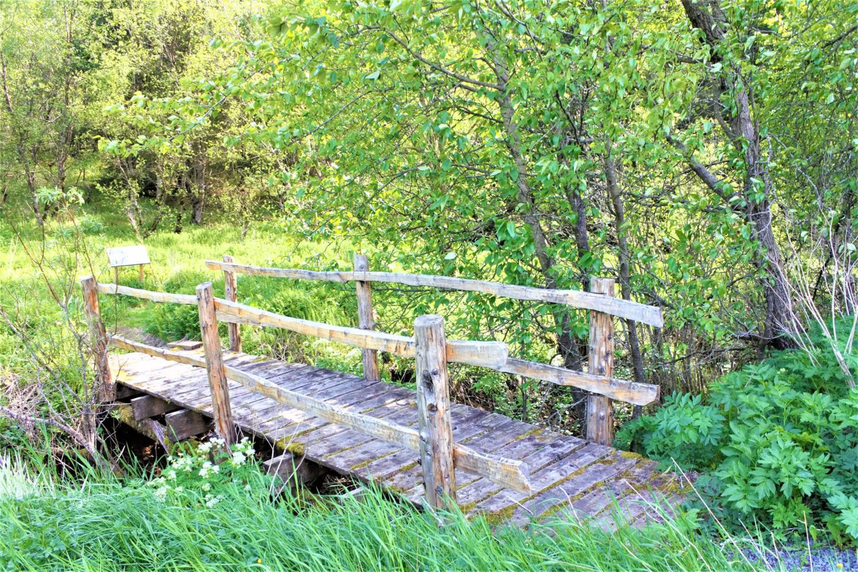 Garden view in Solheimar Eco-Village Guesthouse