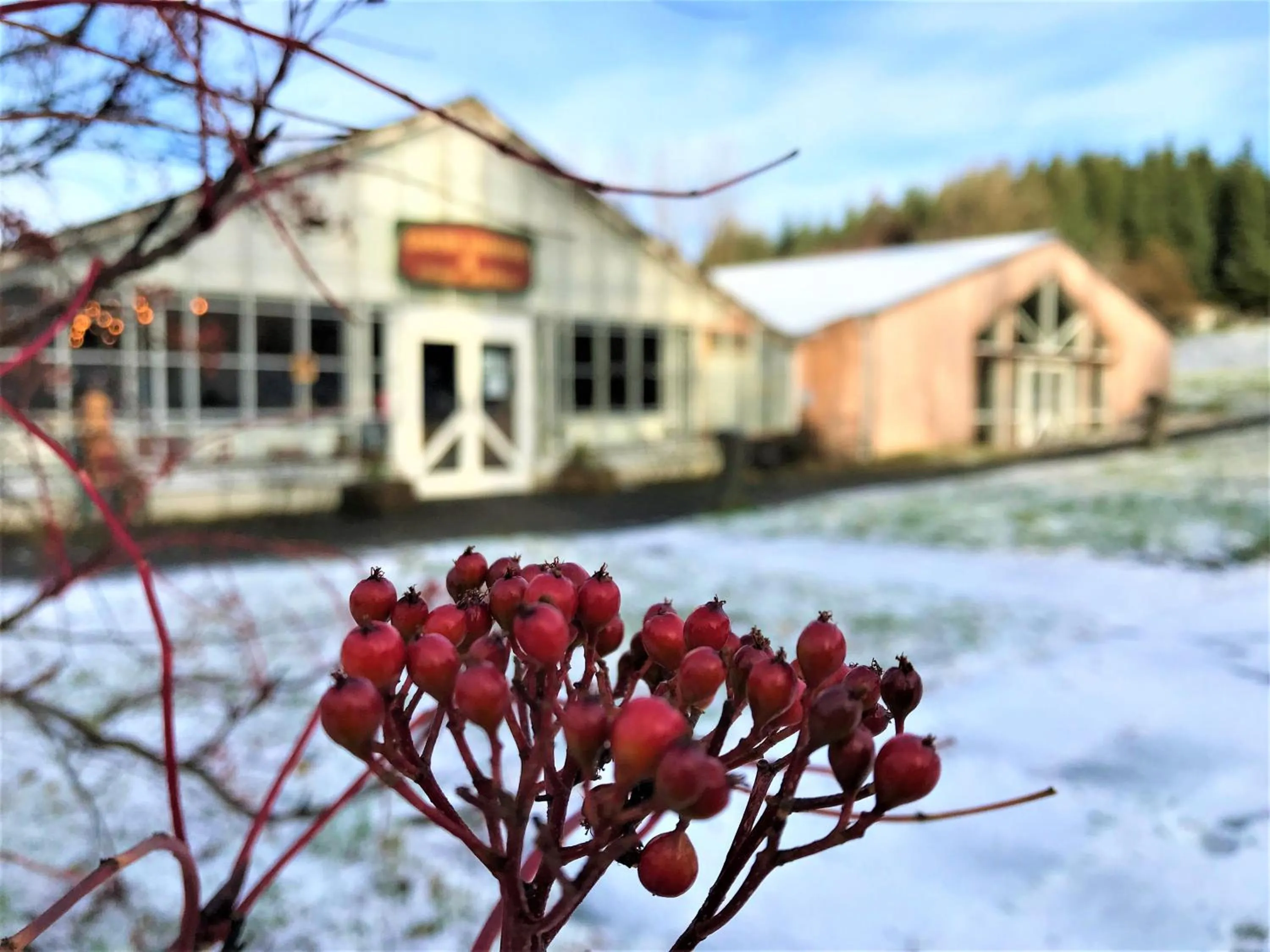 Solheimar Eco-Village Guesthouse