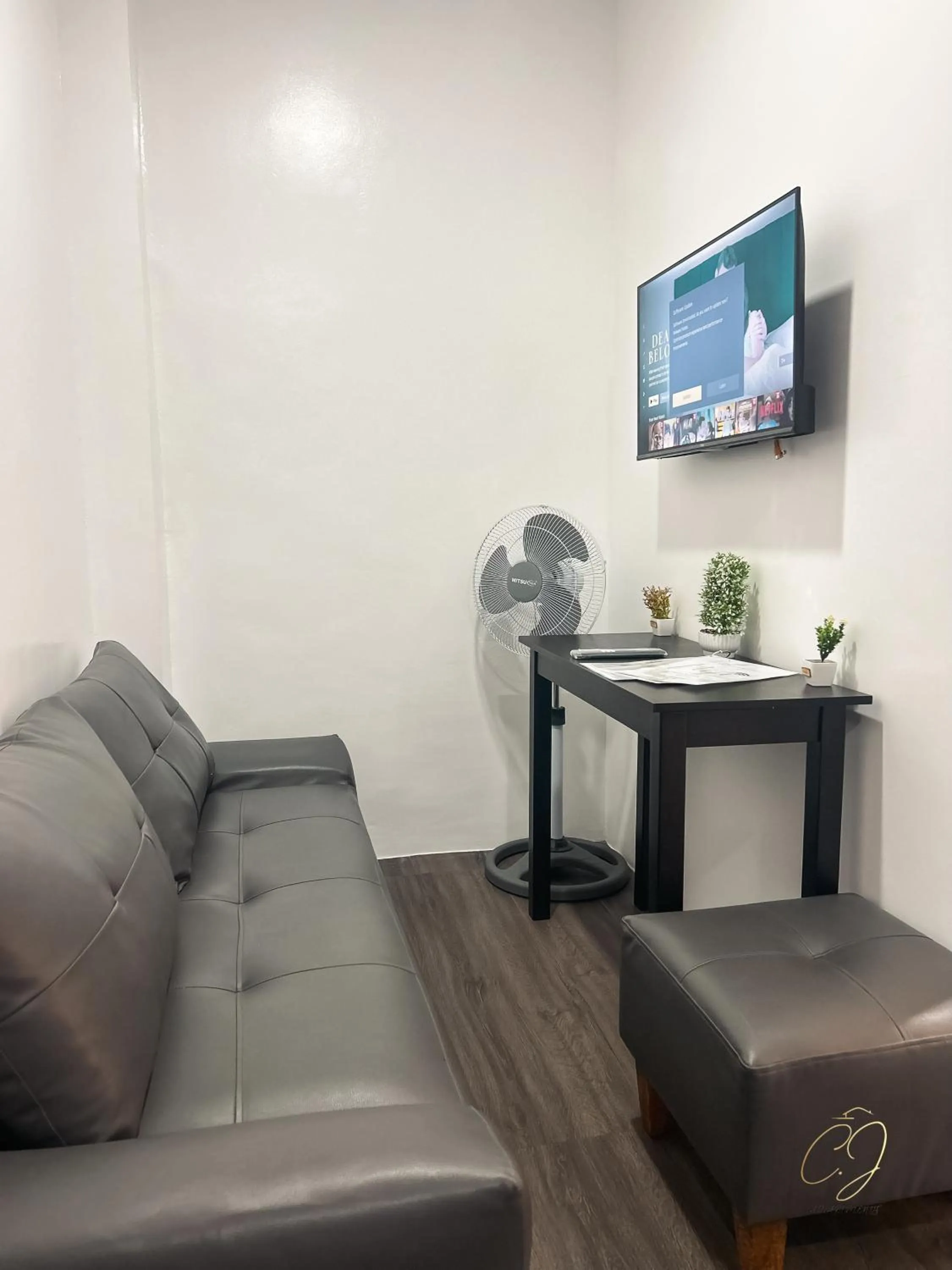 TV and multimedia in CJ Apartments