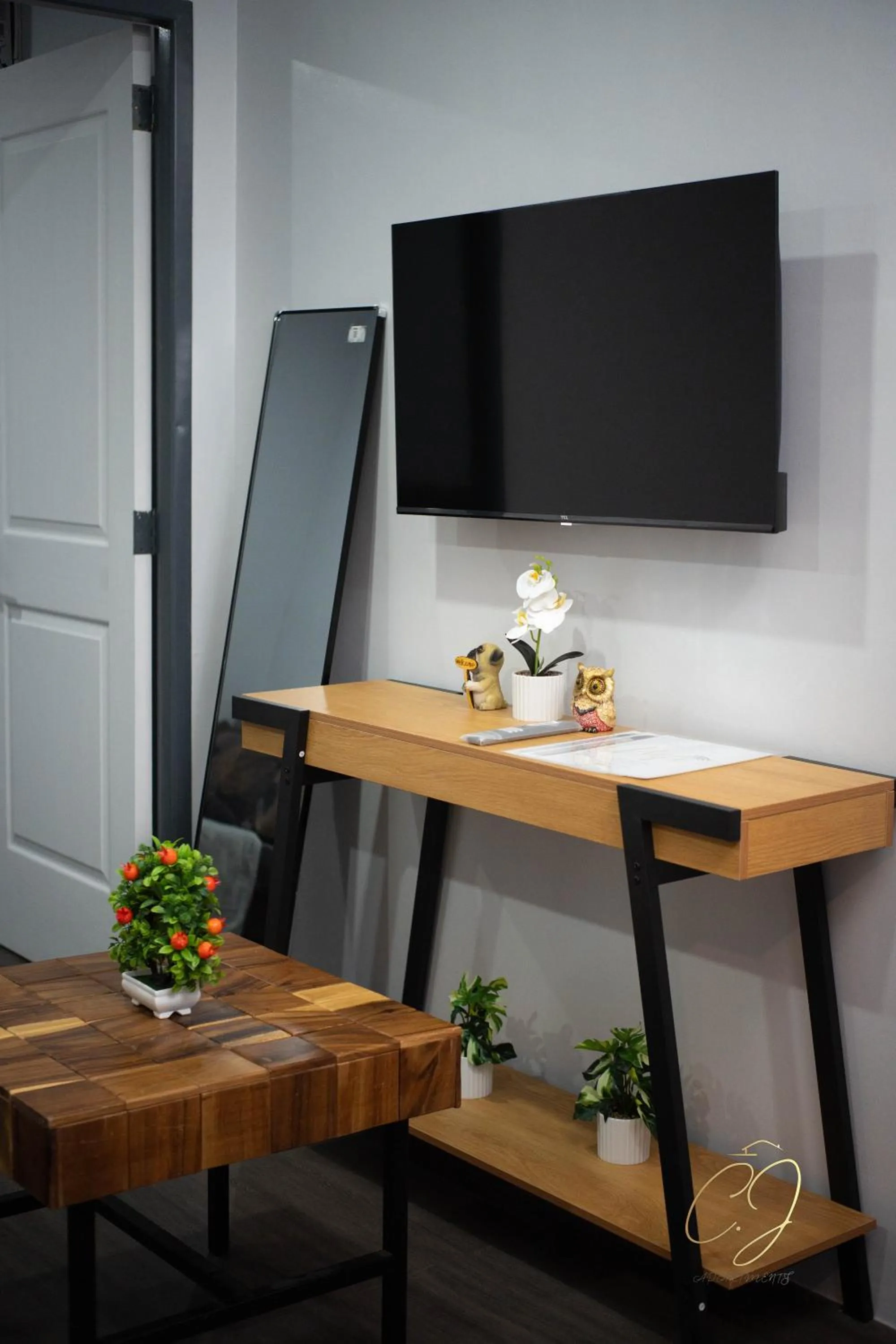 TV and multimedia in CJ Apartments