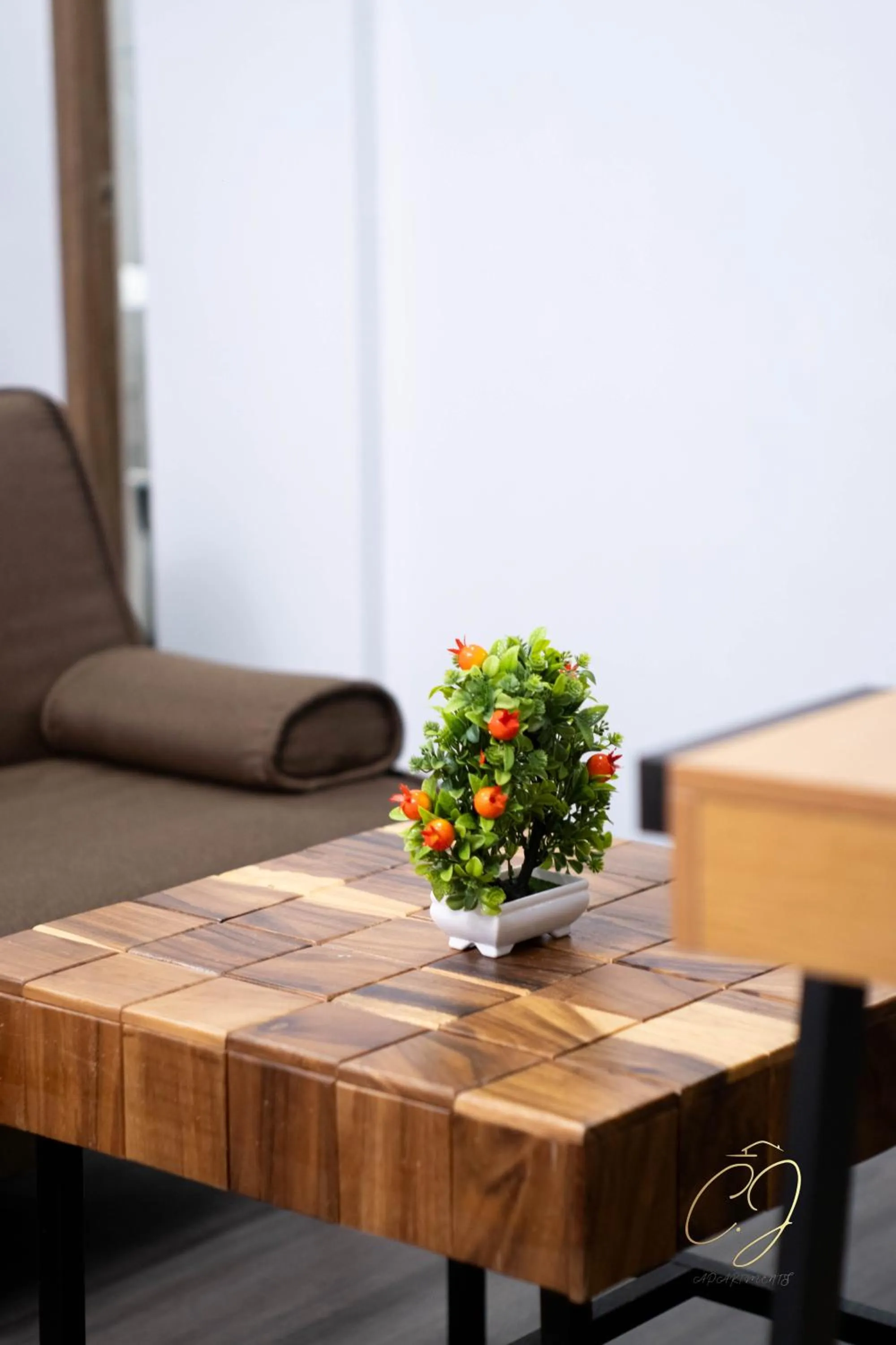 Living room in CJ Apartments