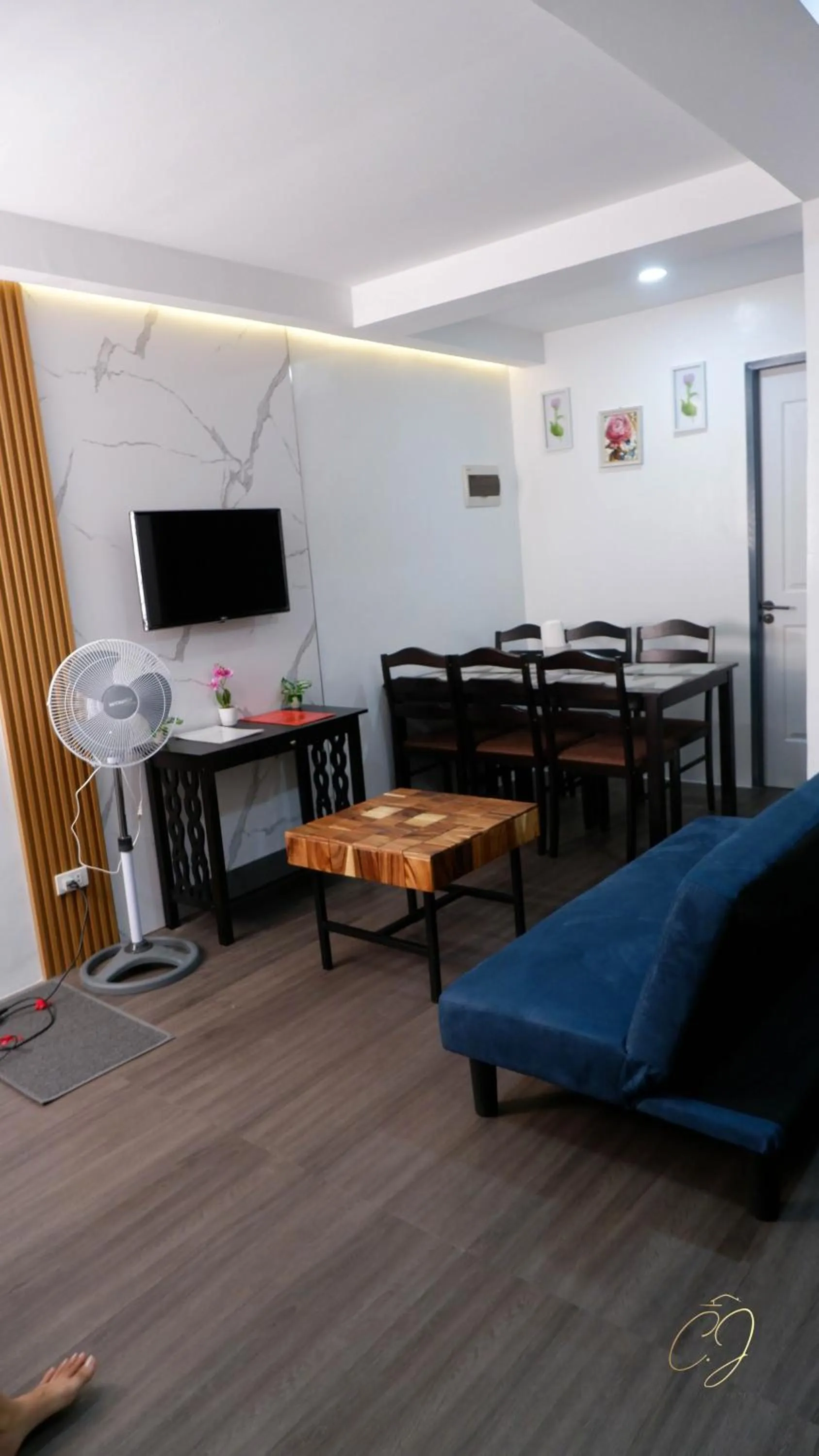 TV and multimedia in CJ Apartments