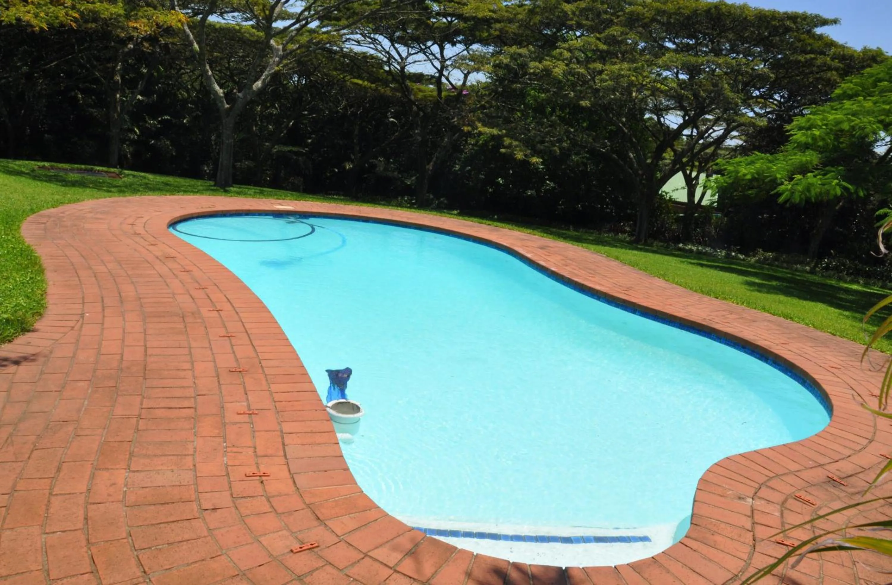 Swimming pool in Birds of Paradise B&B