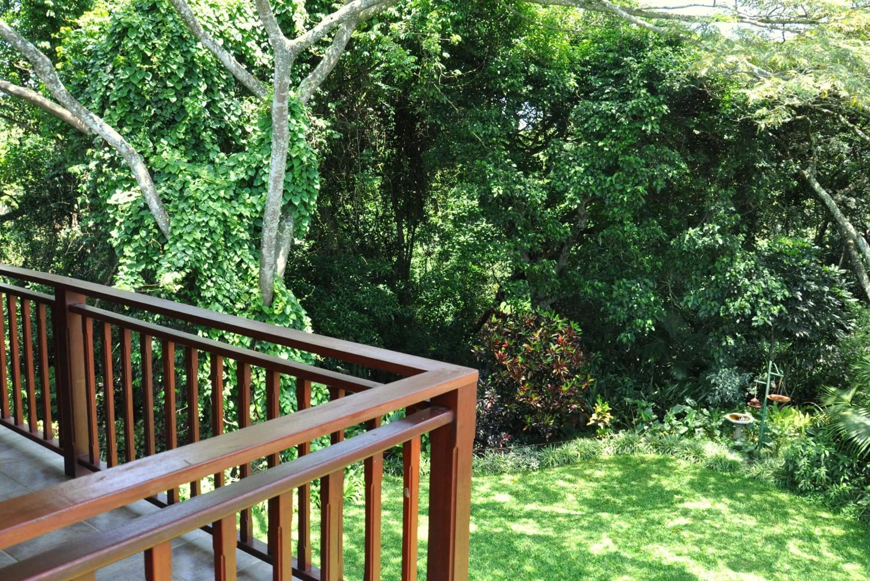 Garden in Birds of Paradise B&B