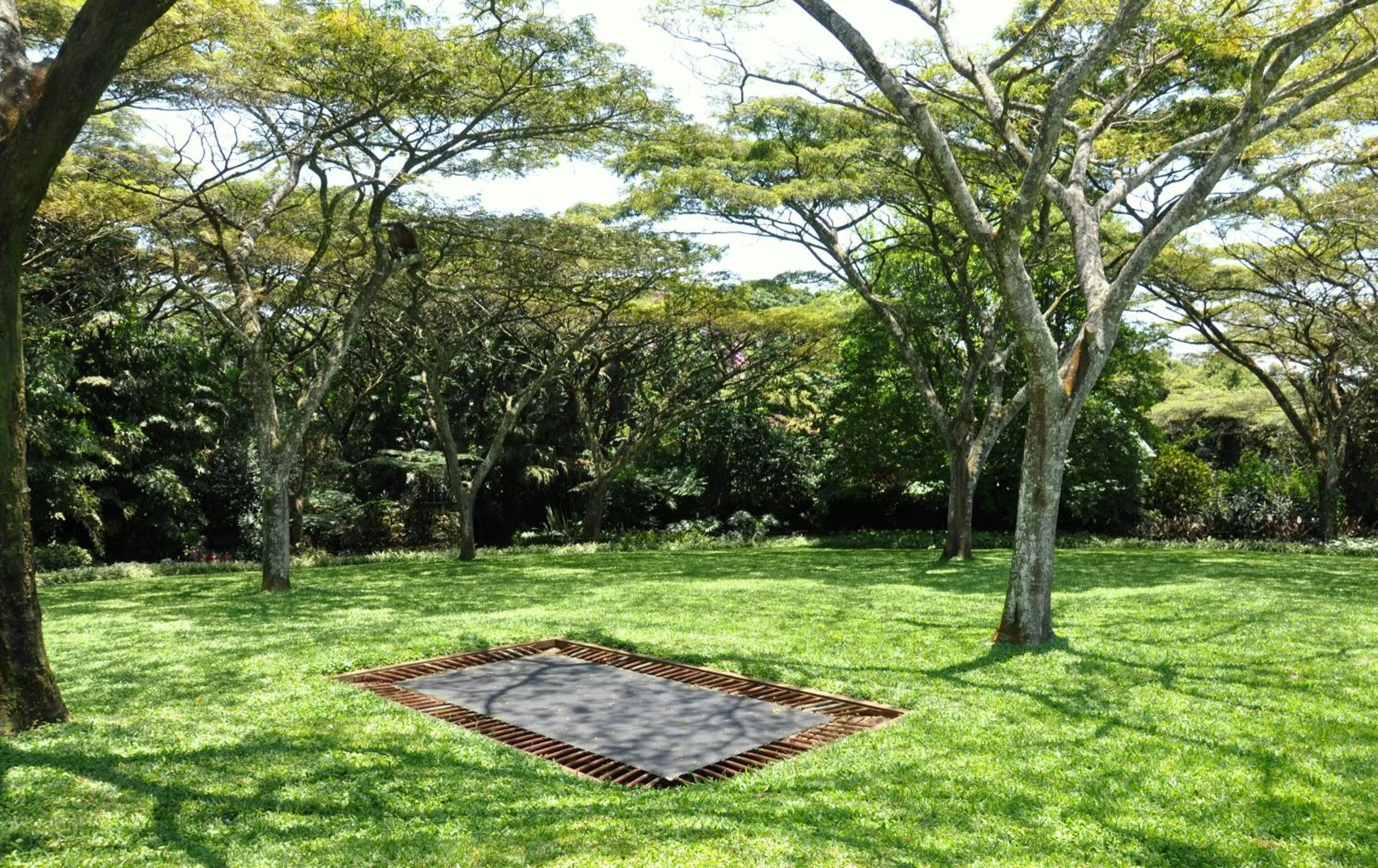 Activities in Birds of Paradise B&B