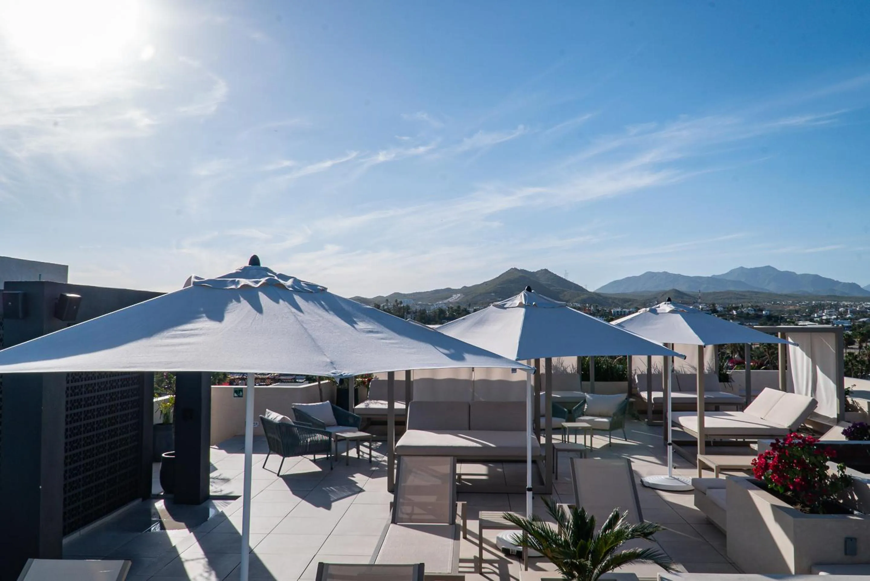 Natural landscape in Flamboyan Hotel & Residences