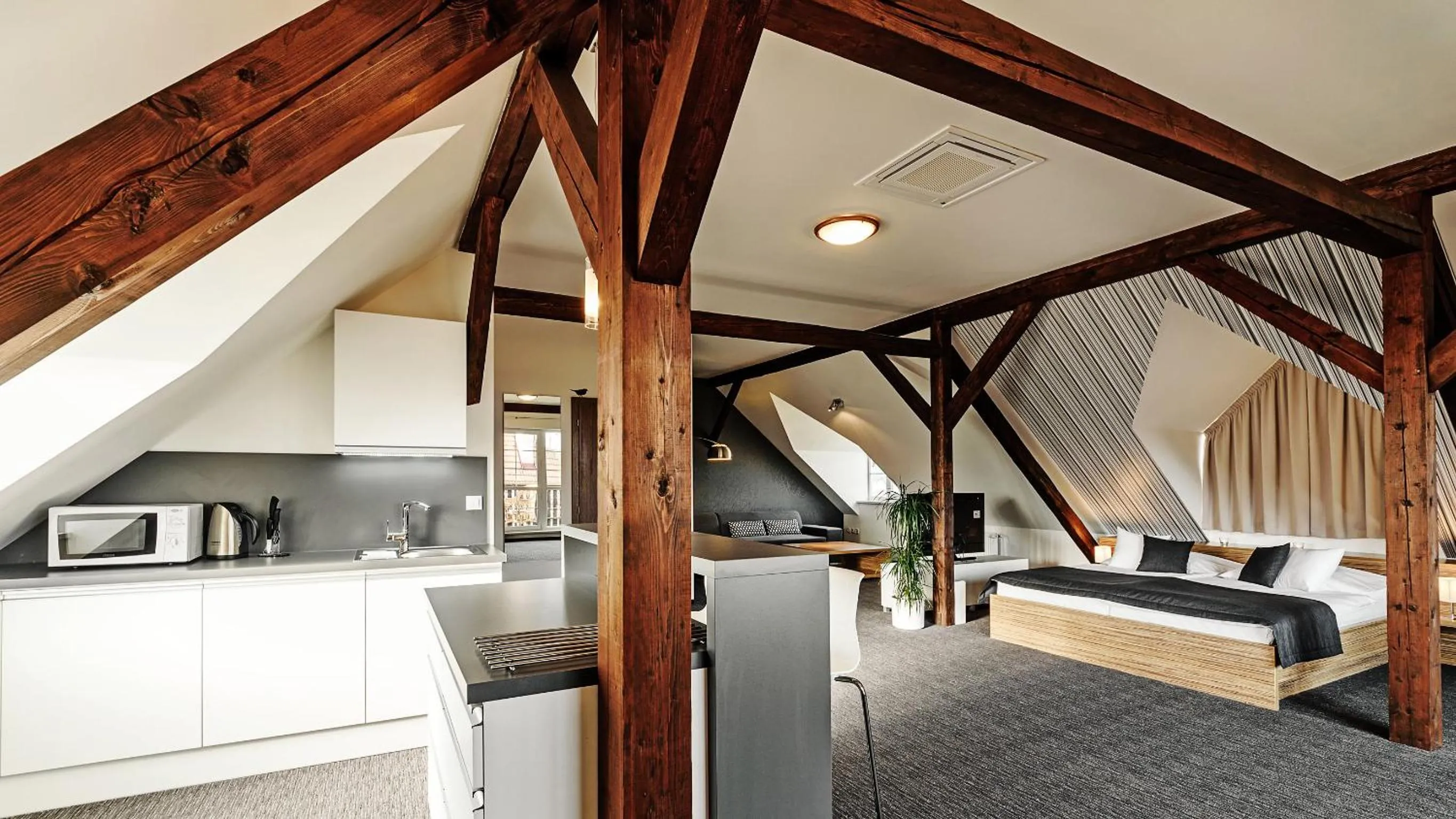 Deluxe Suite - single occupancy in Penzion Bird's Nest
