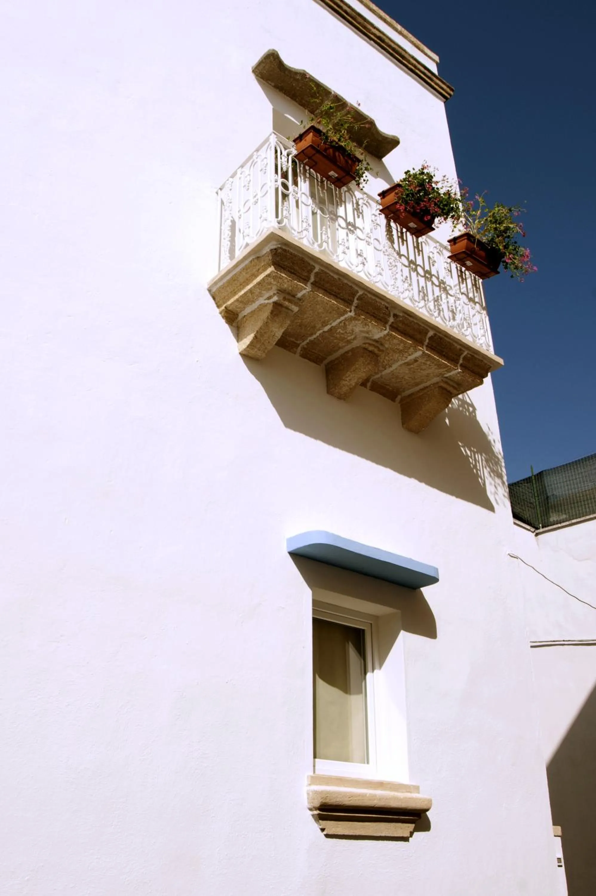 Balcony/Terrace in TS Residence